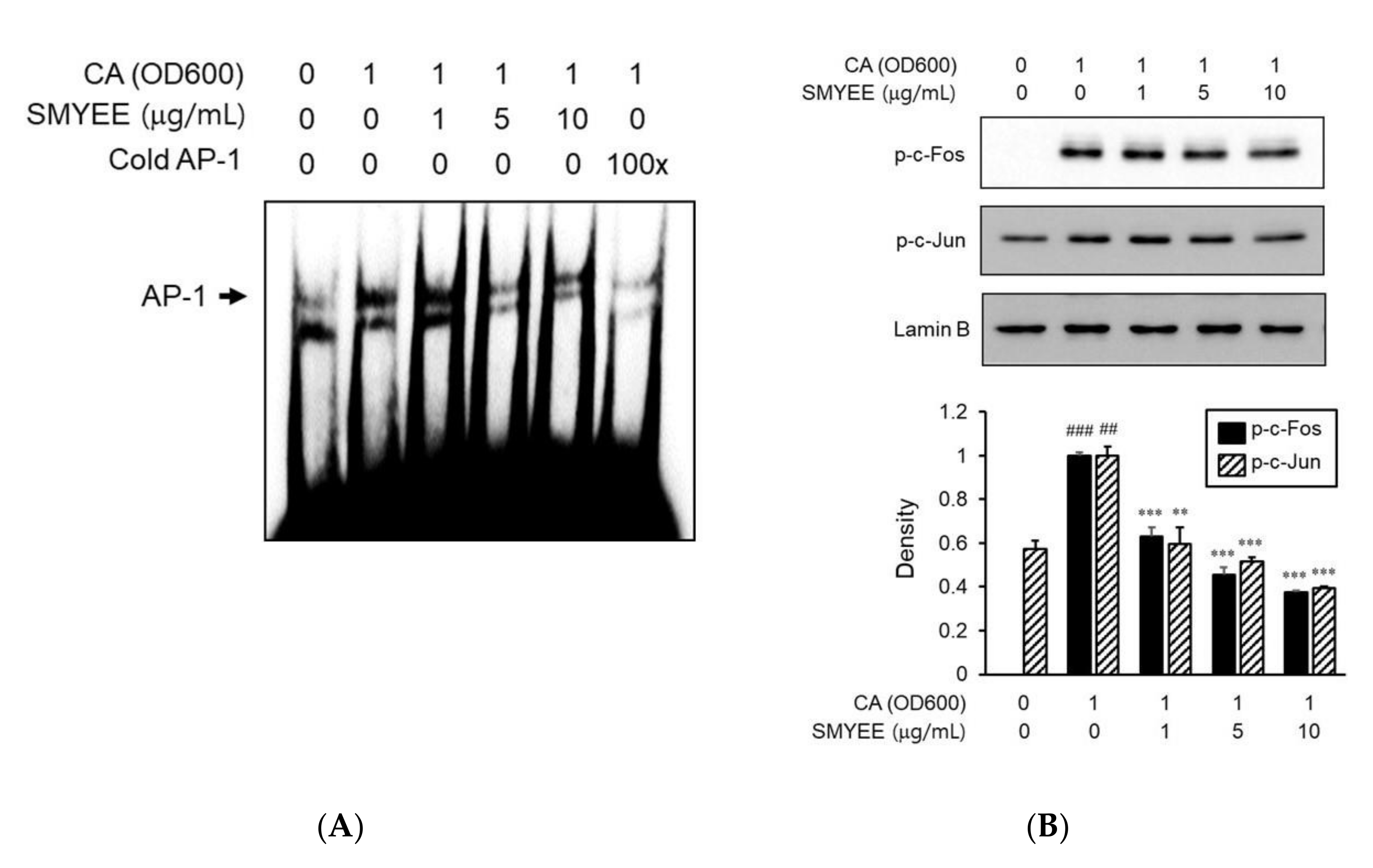 Nutrients 12 02620 g006 Nutrients 12 02620 g006