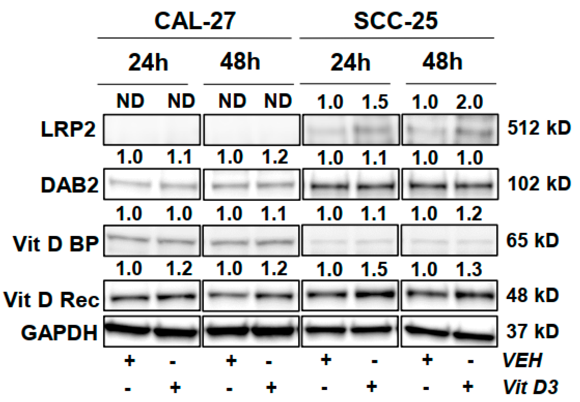 Nutrients 12 02638 g002