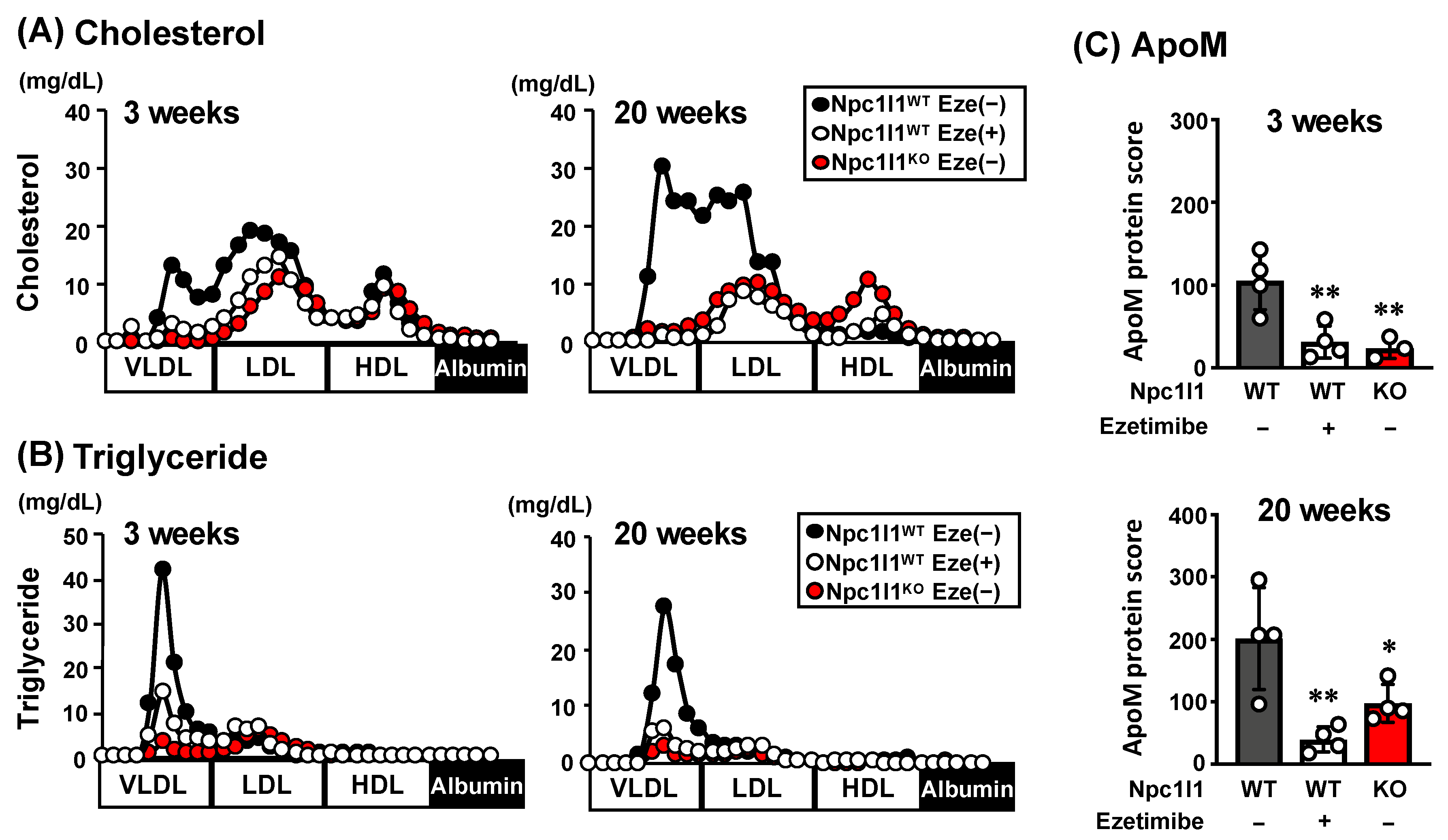 Nutrients 12 02641 g001 Nutrients 12 02641 g001
