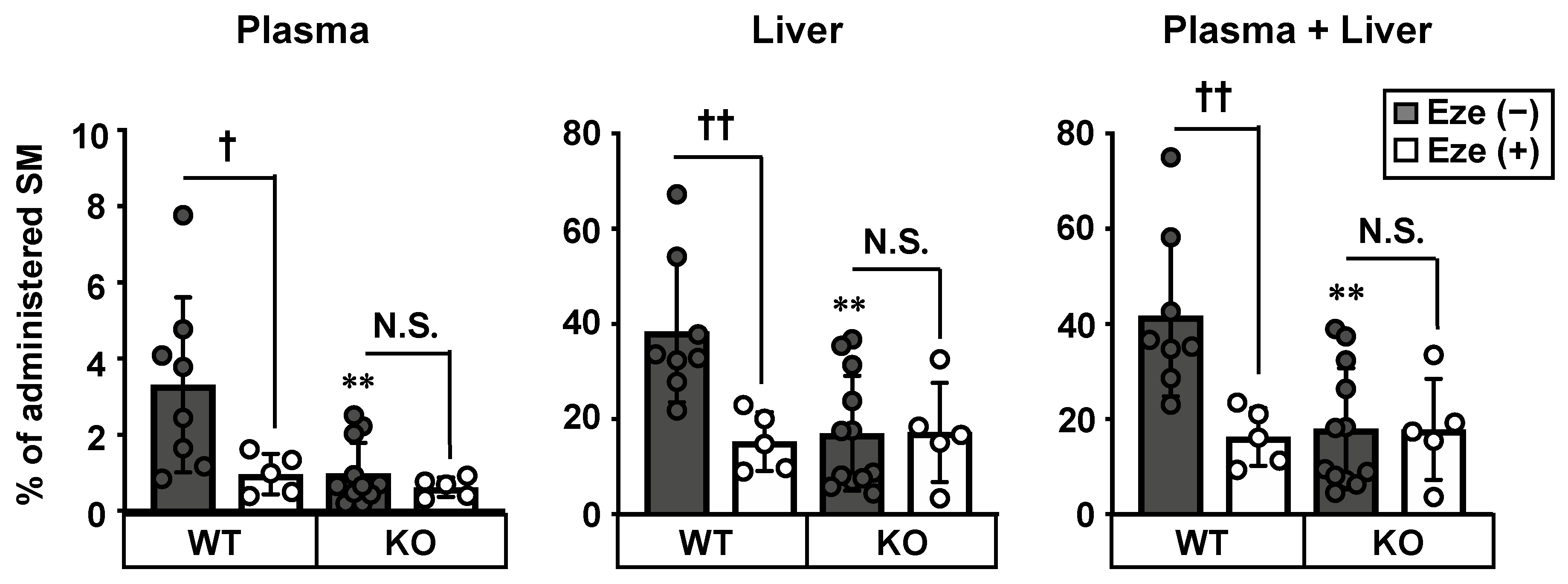 Nutrients 12 02641 g003 Nutrients 12 02641 g003