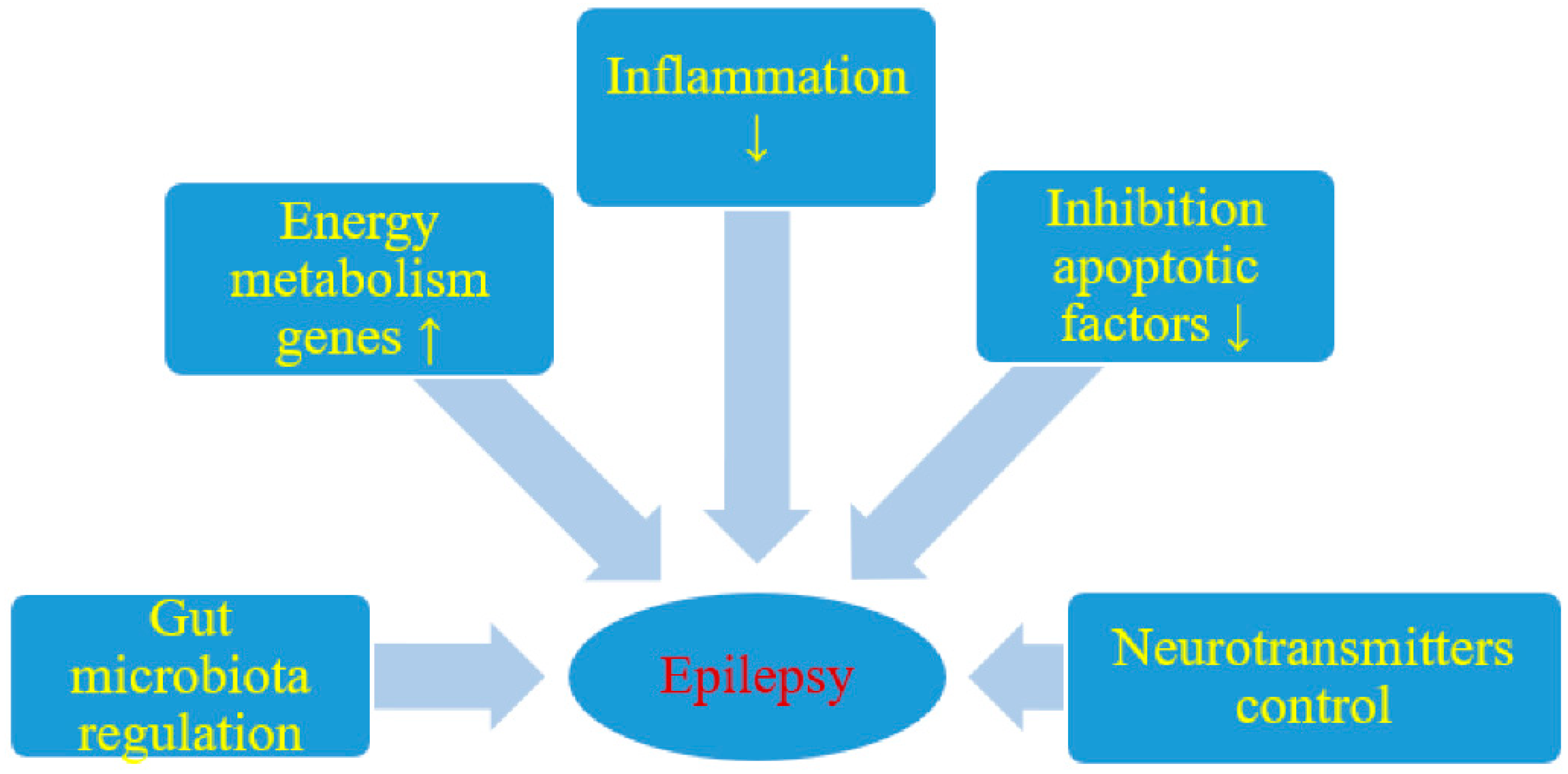 pdf-epilepsie-diskussionszentrum-italie-pdf-t-l-charger-download