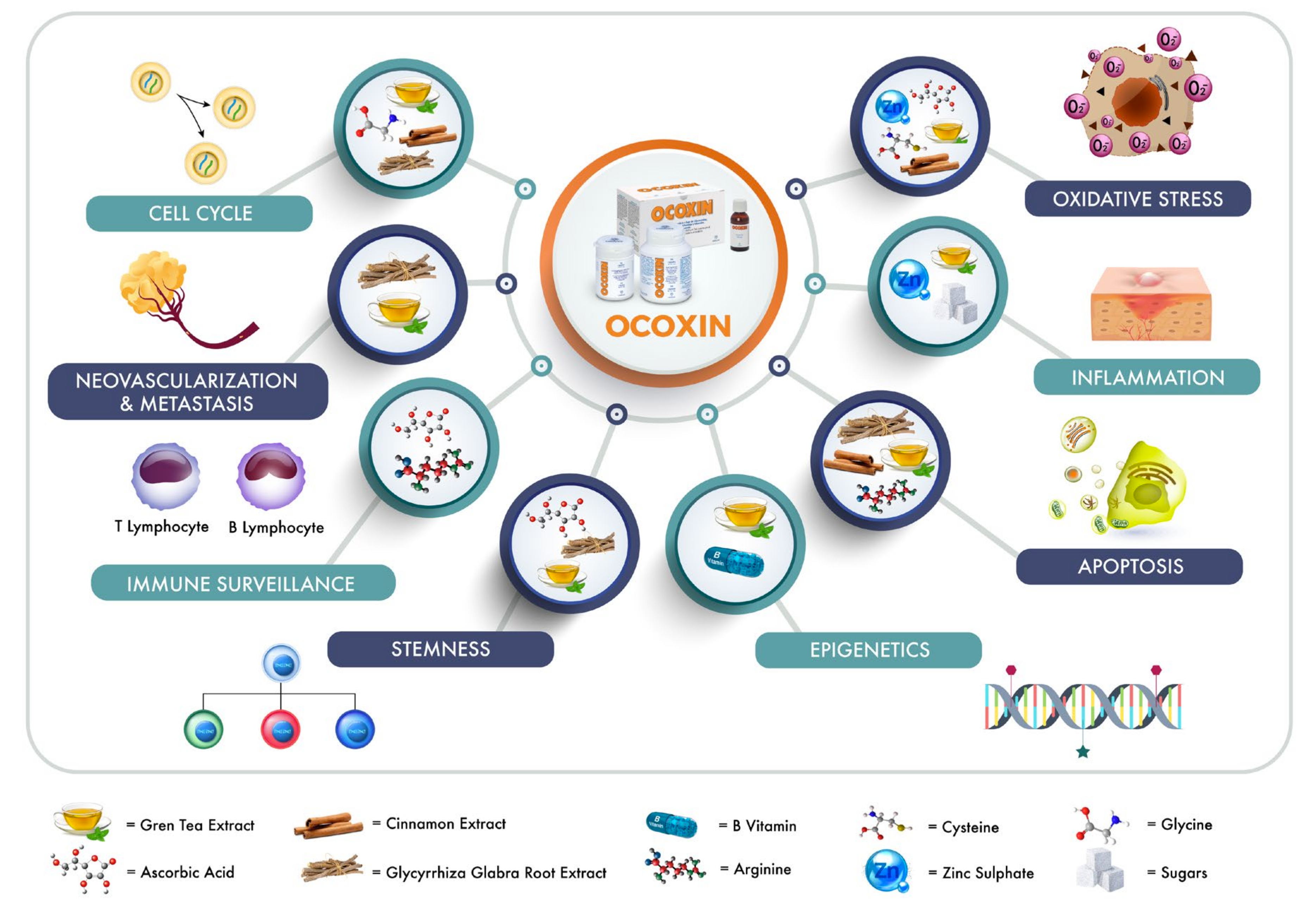 Nutrients 12 02661 g001