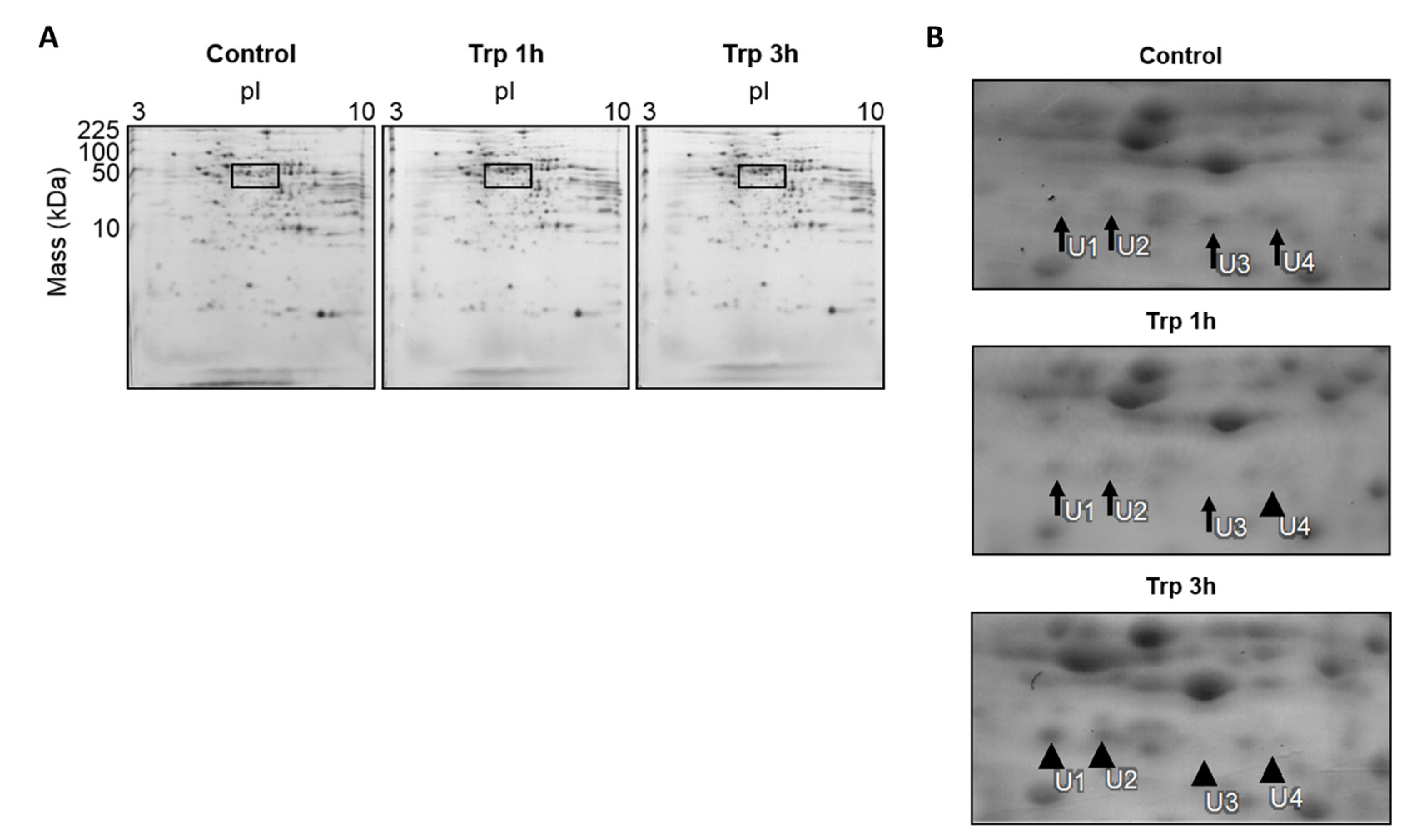 Nutrients 12 02665 g001 Nutrients 12 02665 g001