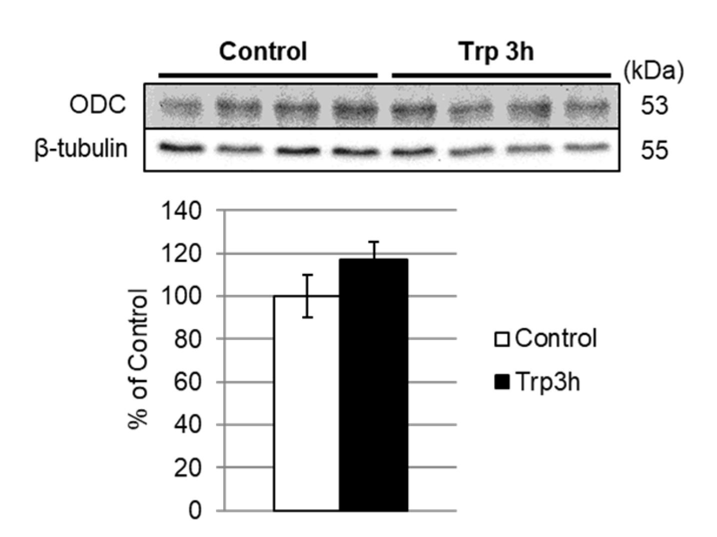 Nutrients 12 02665 g004 Nutrients 12 02665 g004