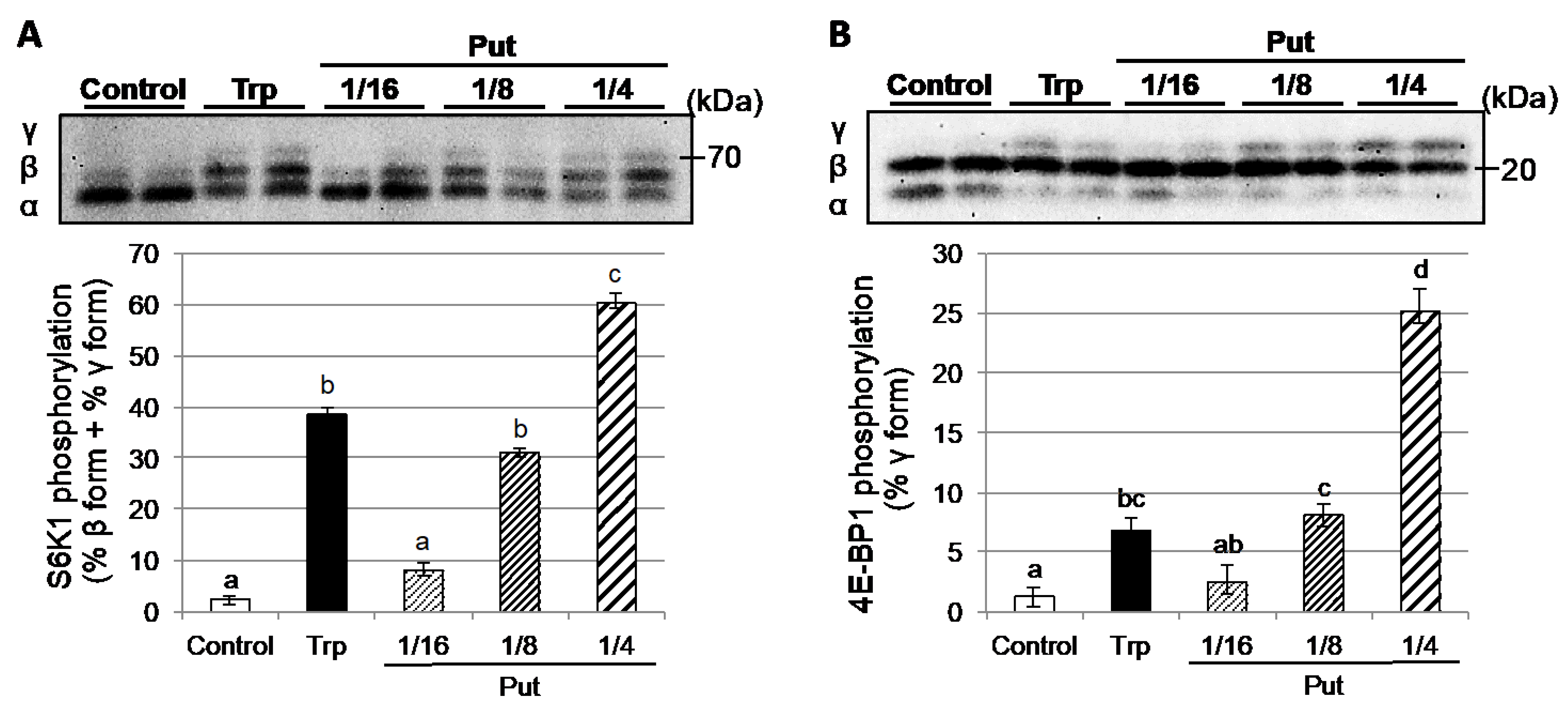 Nutrients 12 02665 g005 Nutrients 12 02665 g005