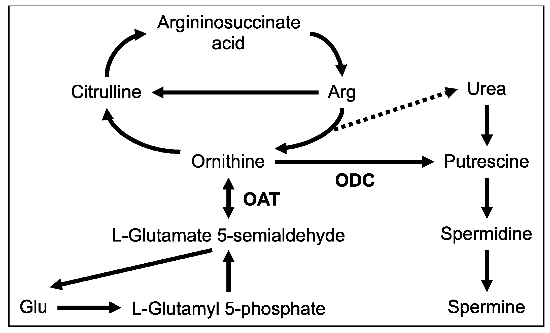 Nutrients 12 02665 g006 Nutrients 12 02665 g006