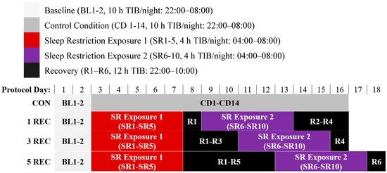 Nutrients Free Full Text Caloric And Macronutrient Intake And Meal Timing Responses To Repeated Sleep Restriction Exposures Separated By Varying Intervening Recovery Nights In Healthy Adults Html Nutrients Free Full Text Caloric And Macronutrient Intake And Meal Timing Responses To Repeated Sleep Restriction Exposures Separated By Varying Intervening Recovery Nights In Healthy Adults Html