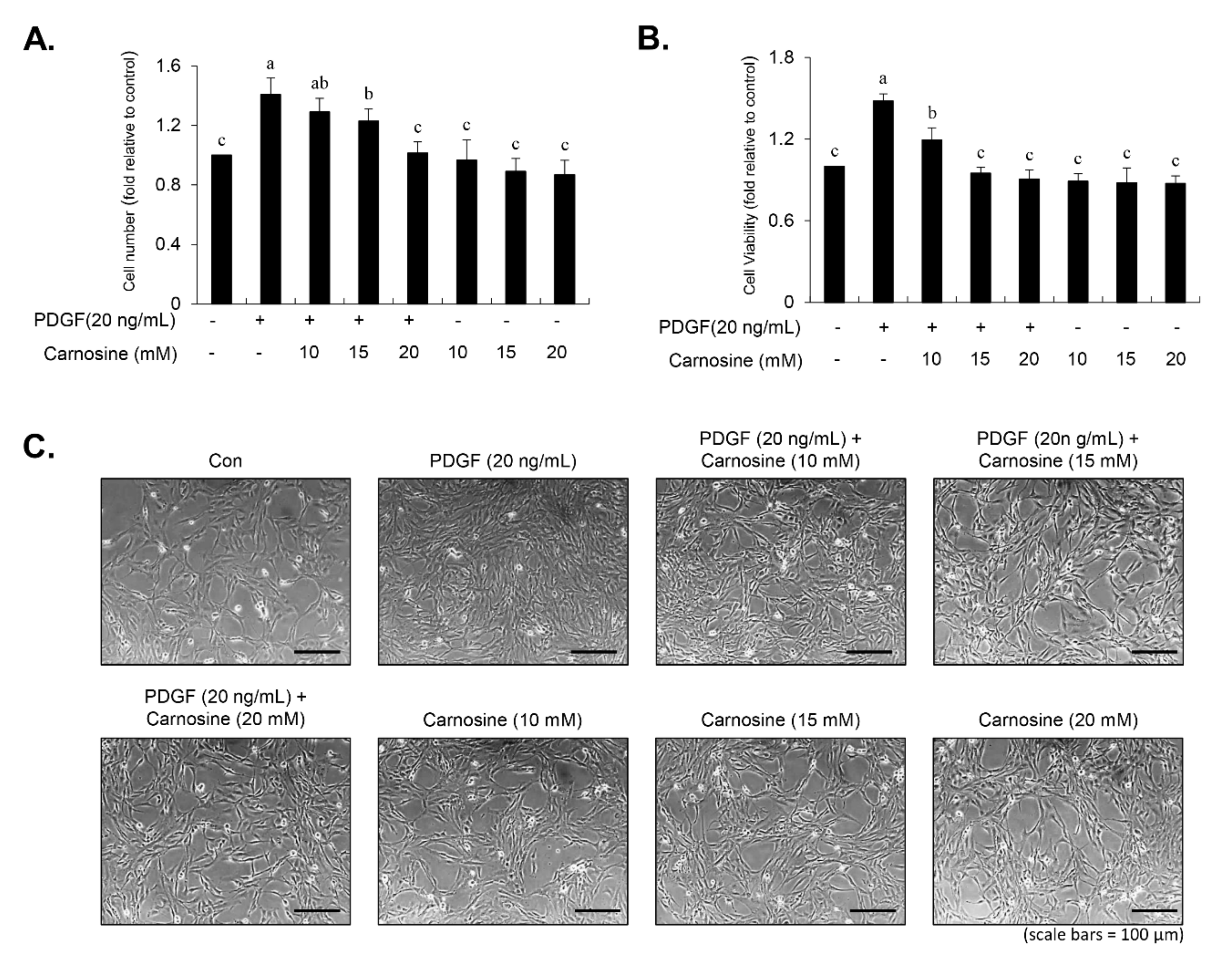 Nutrients 12 02697 g001