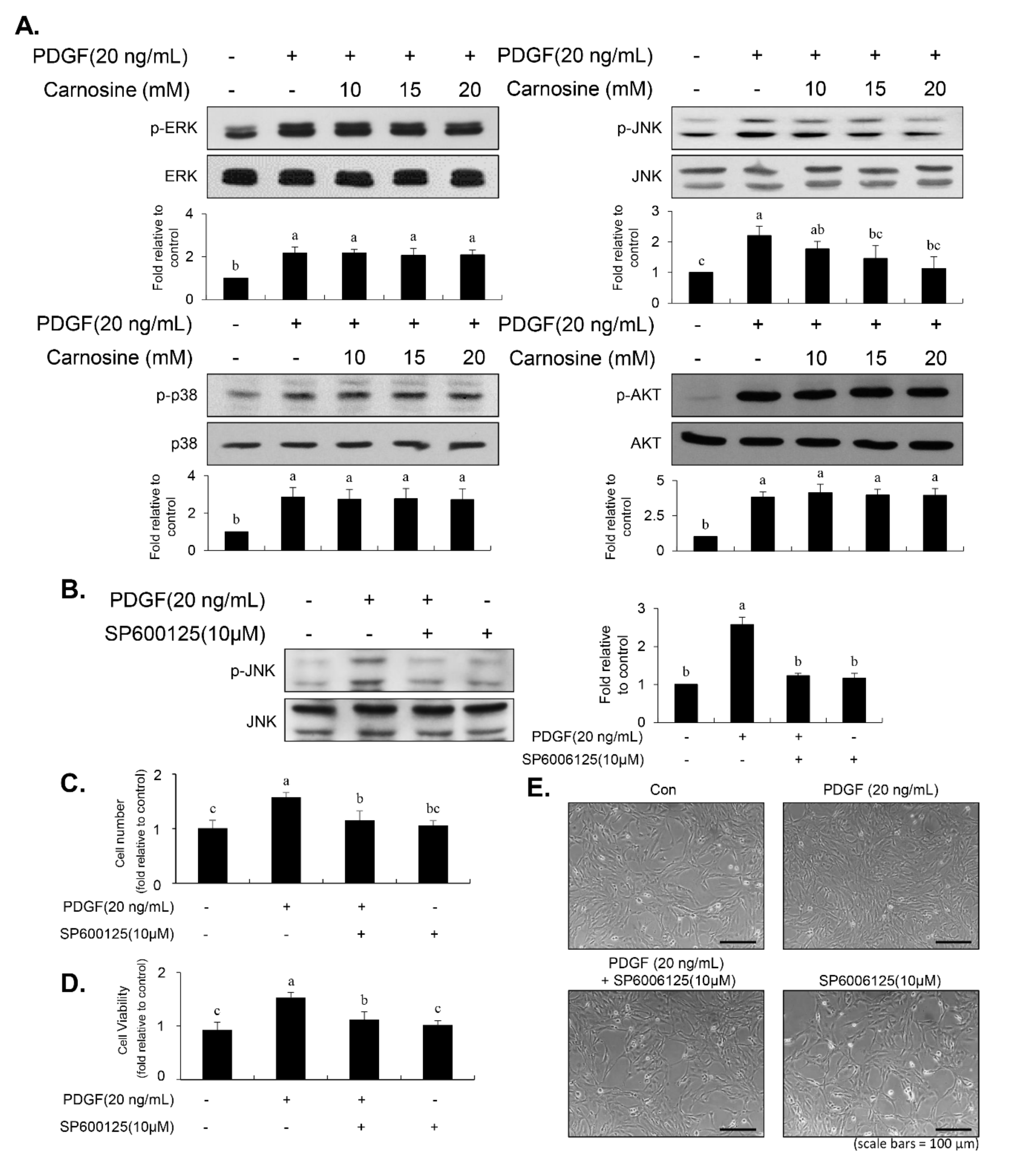 Nutrients 12 02697 g004