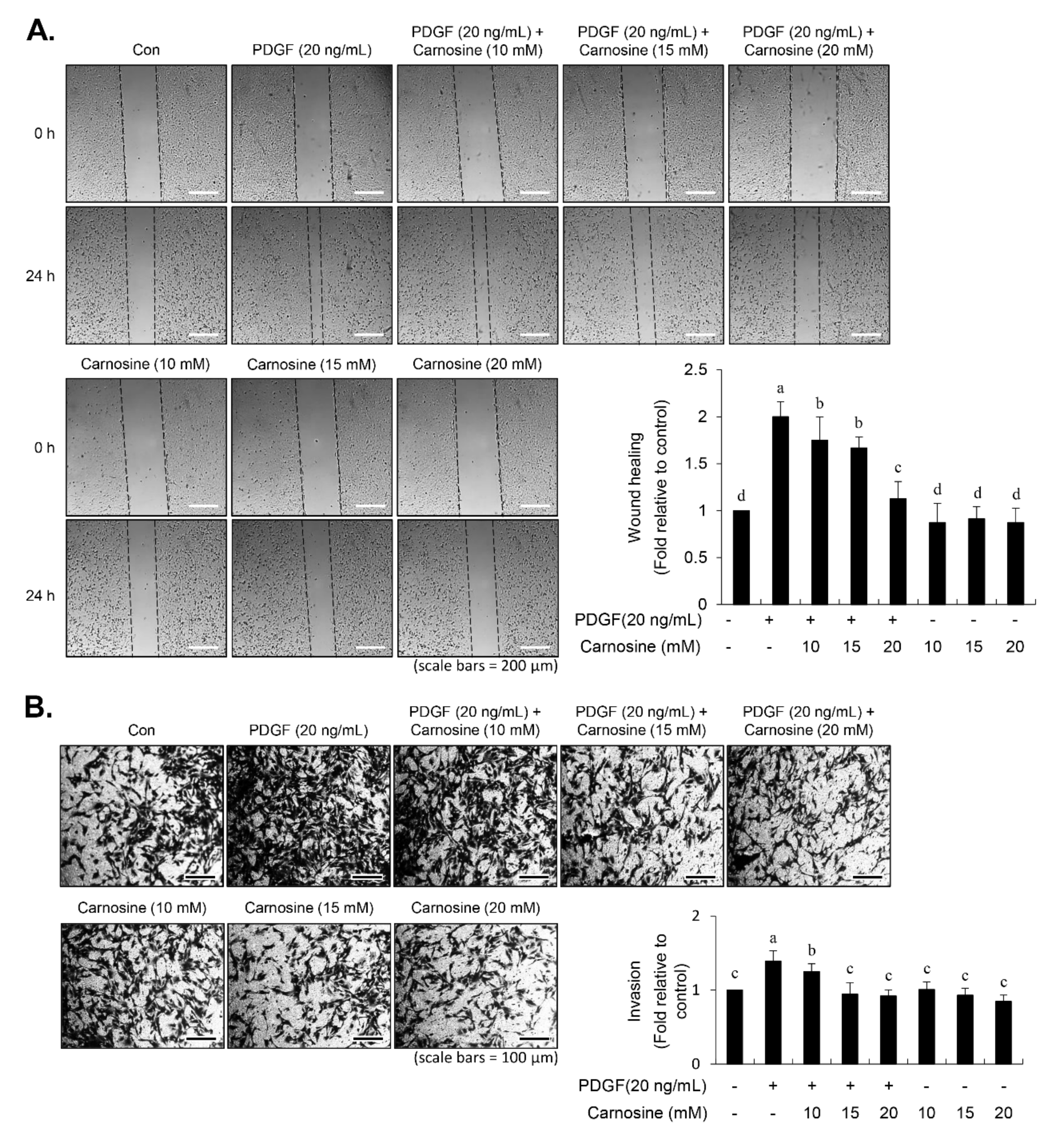 Nutrients 12 02697 g006