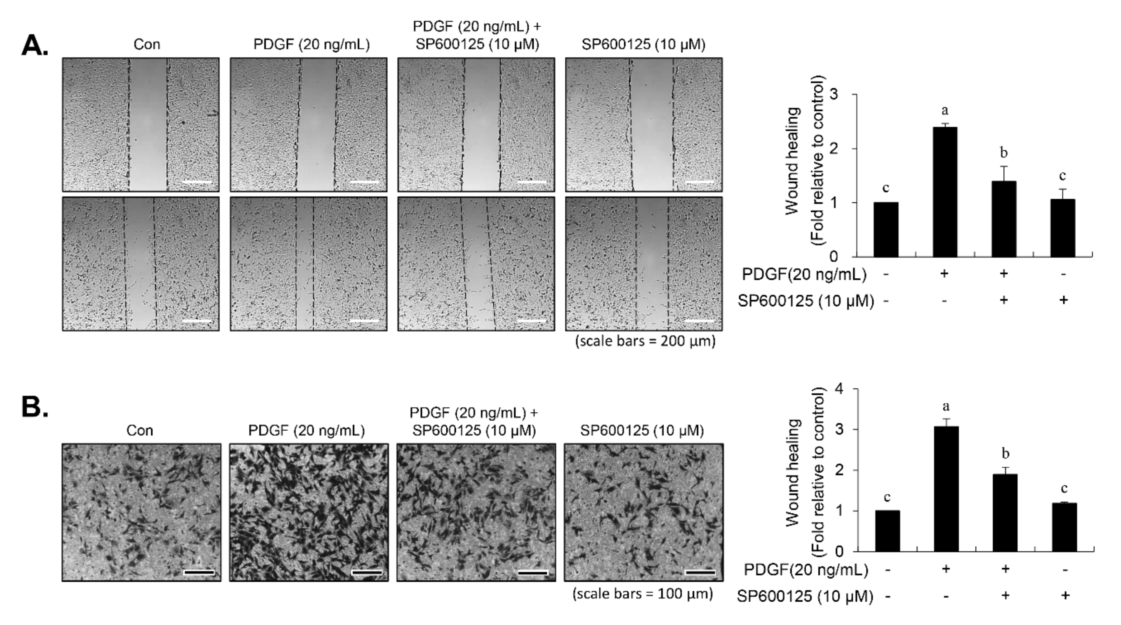 Nutrients 12 02697 g007