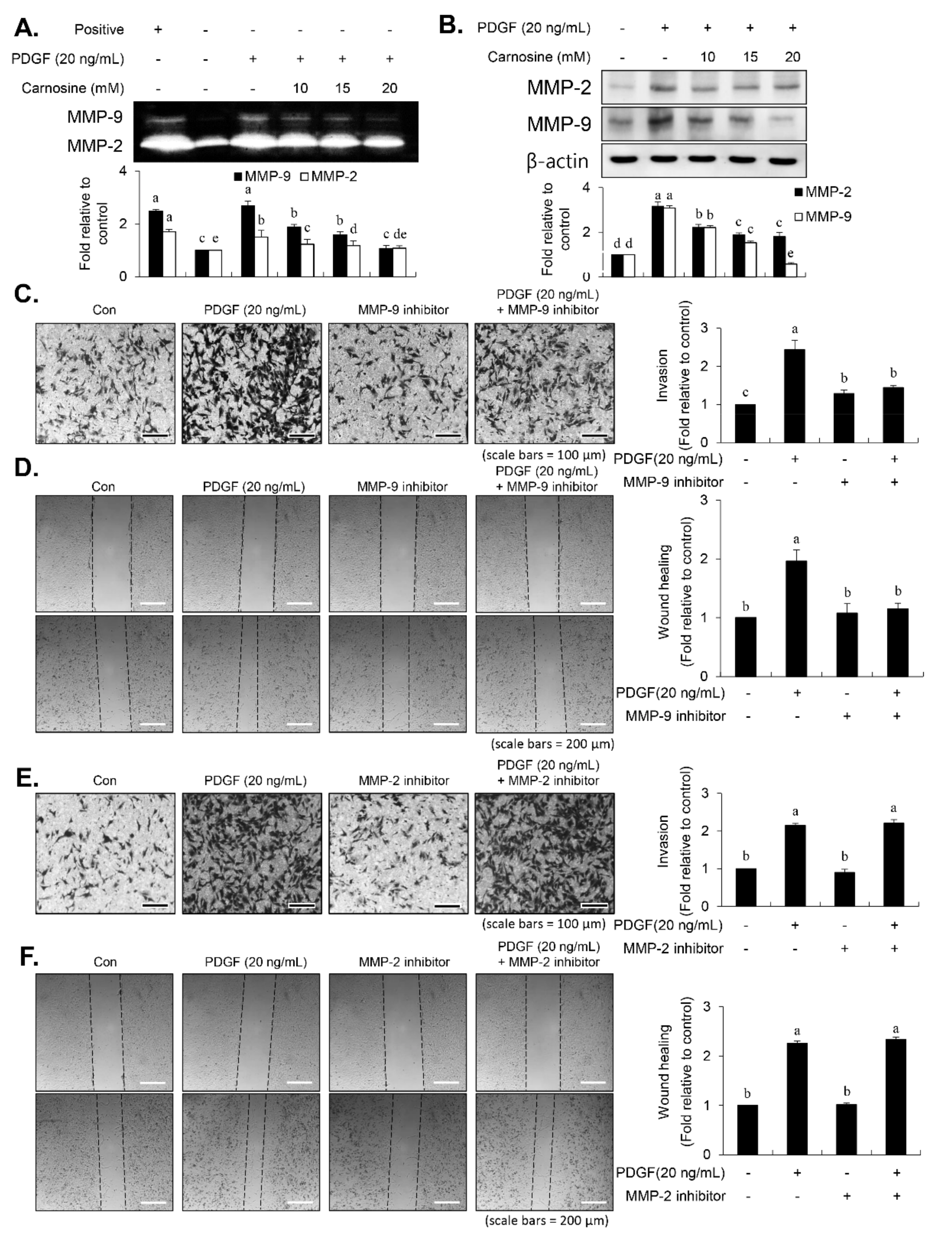 Nutrients 12 02697 g008