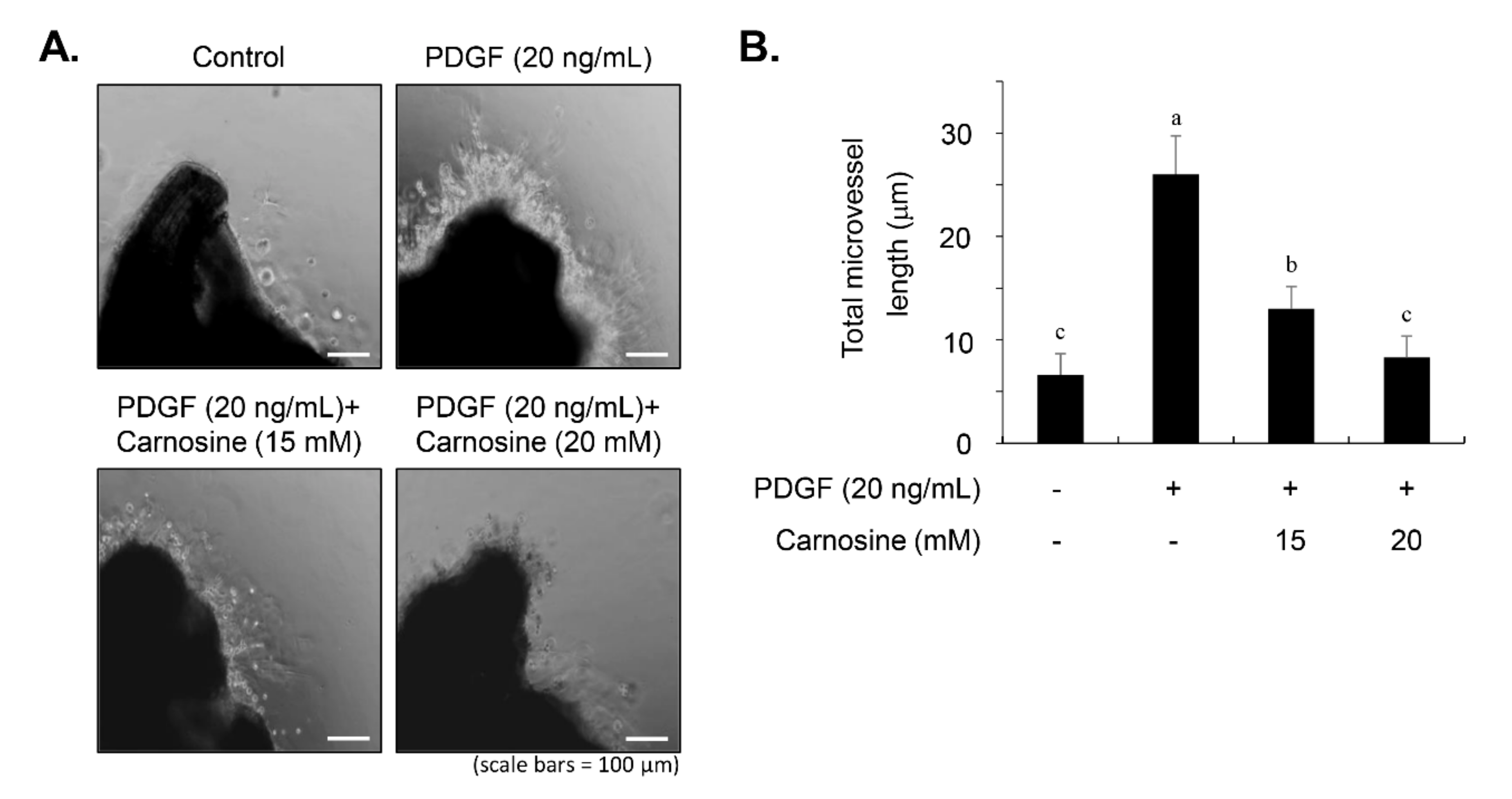 Nutrients 12 02697 g010