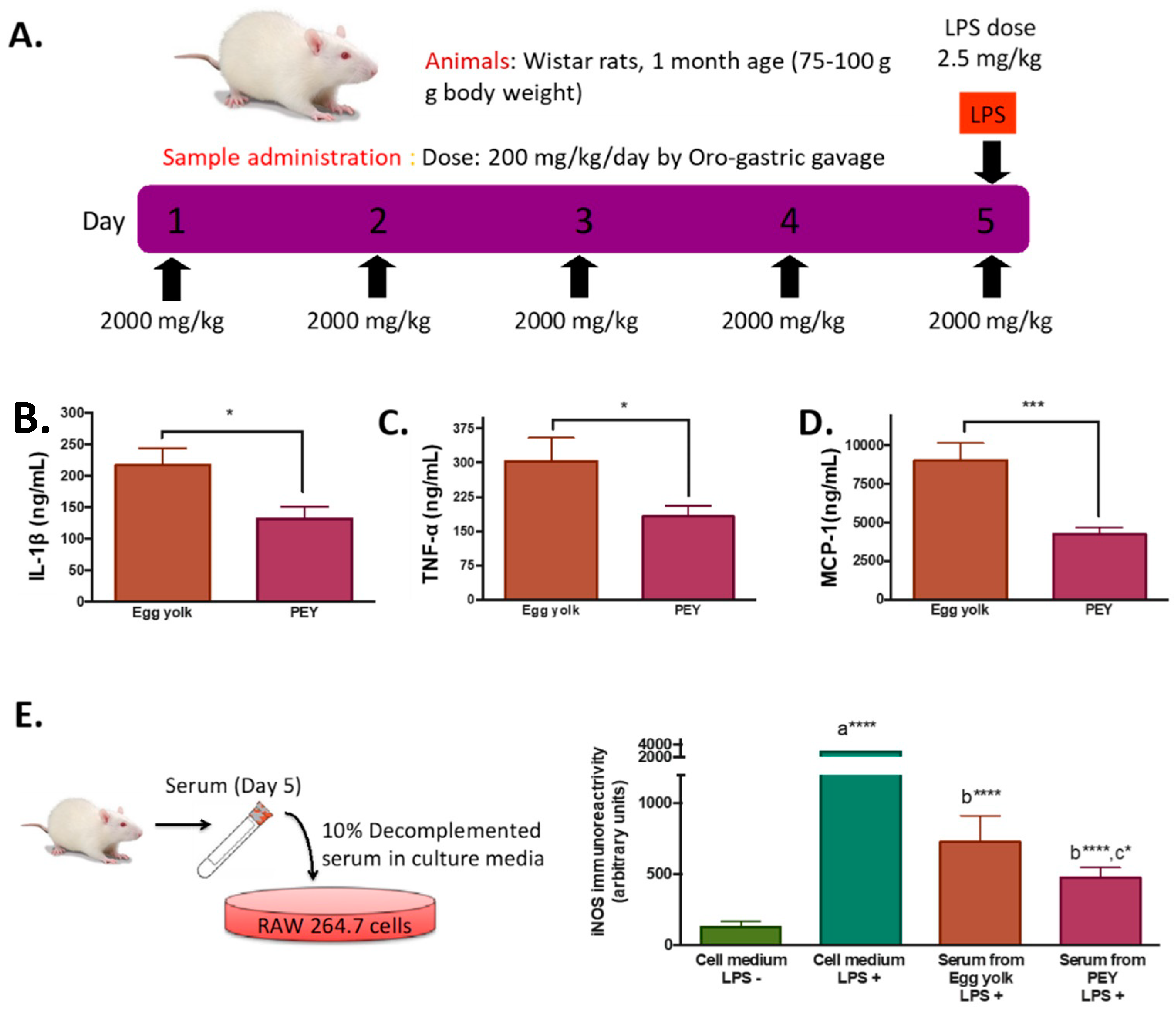 Nutrients 12 02699 g001