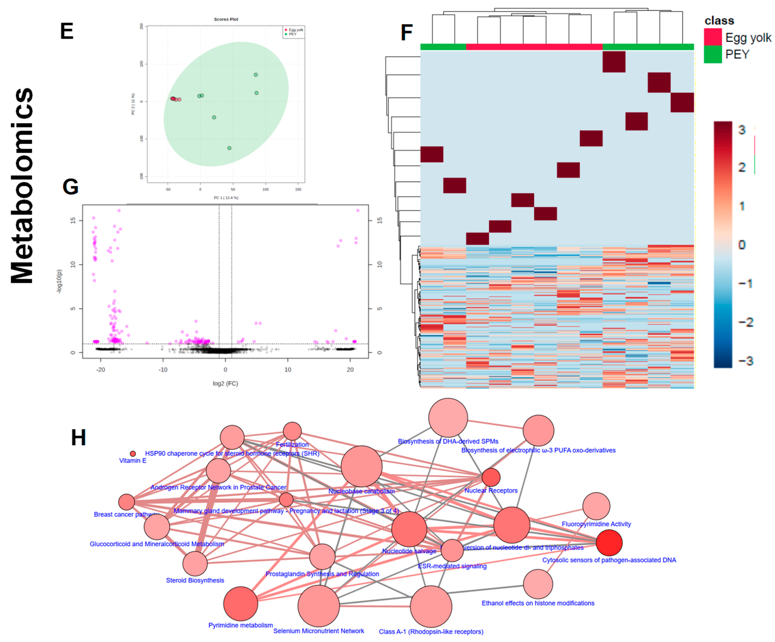 Nutrients 12 02699 g003b