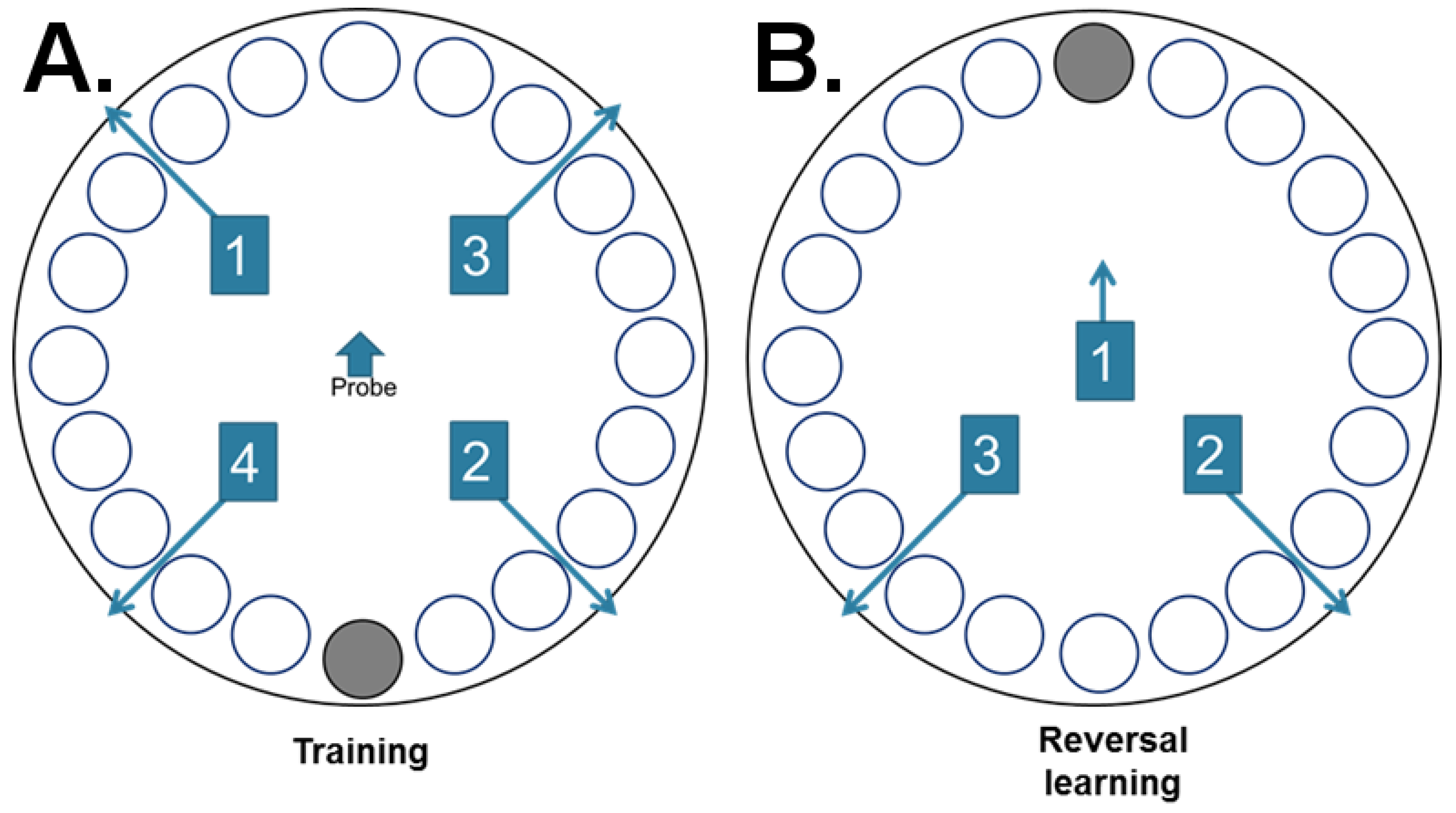 Nutrients 12 02721 g002 Nutrients 12 02721 g002
