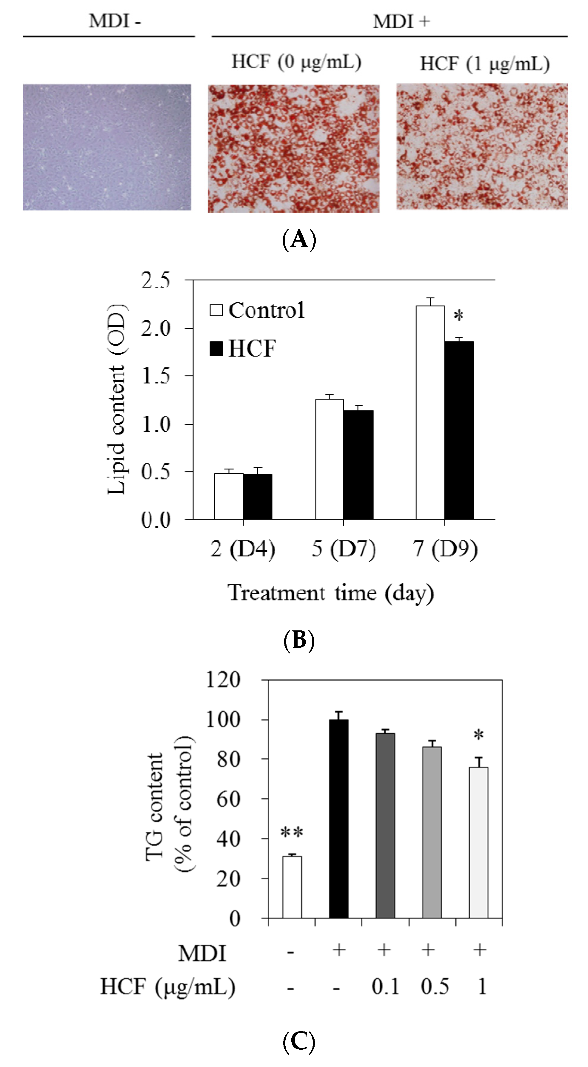 Nutrients 12 02726 g003 Nutrients 12 02726 g003
