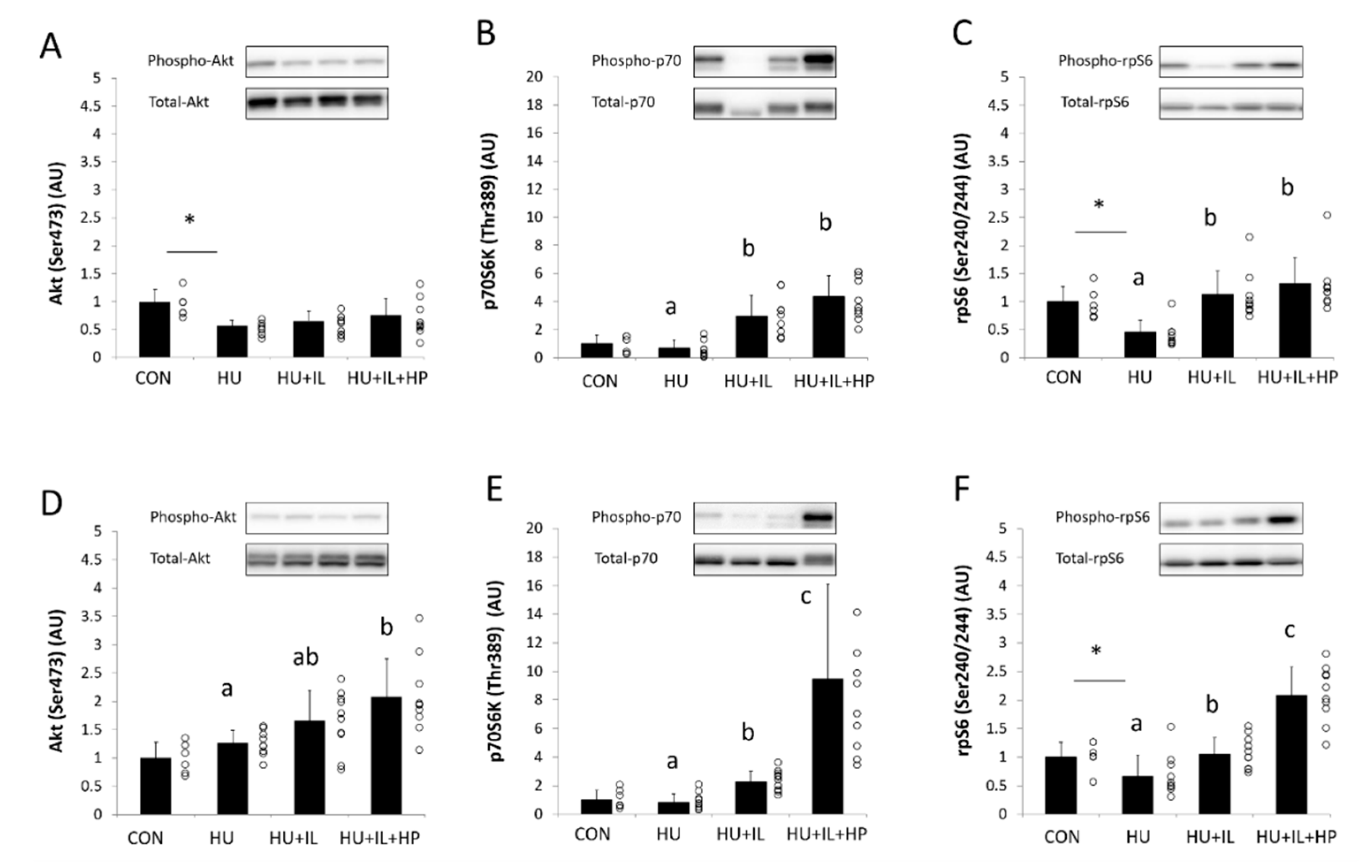Nutrients 12 02729 g001 Nutrients 12 02729 g001