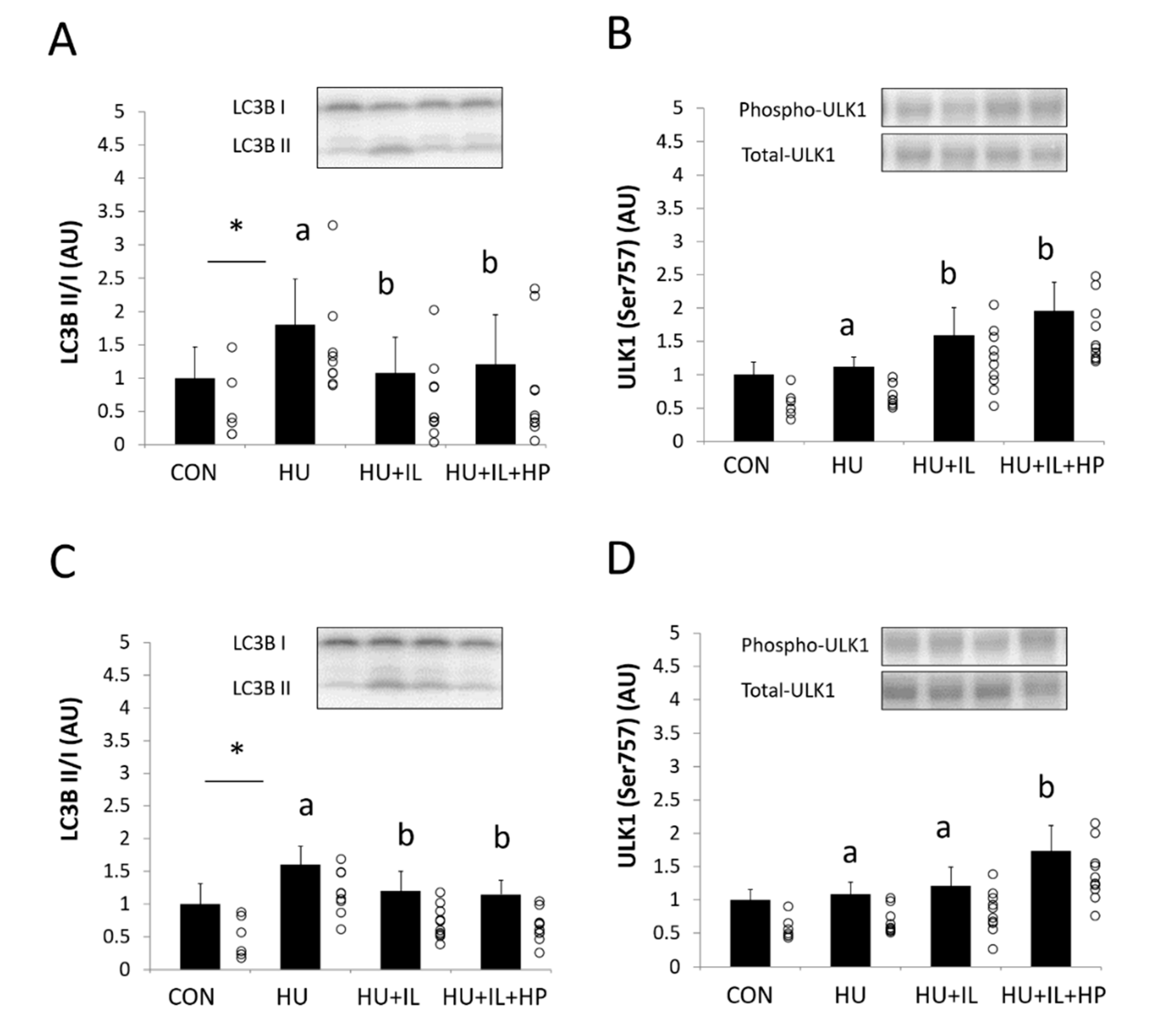 Nutrients 12 02729 g003 Nutrients 12 02729 g003