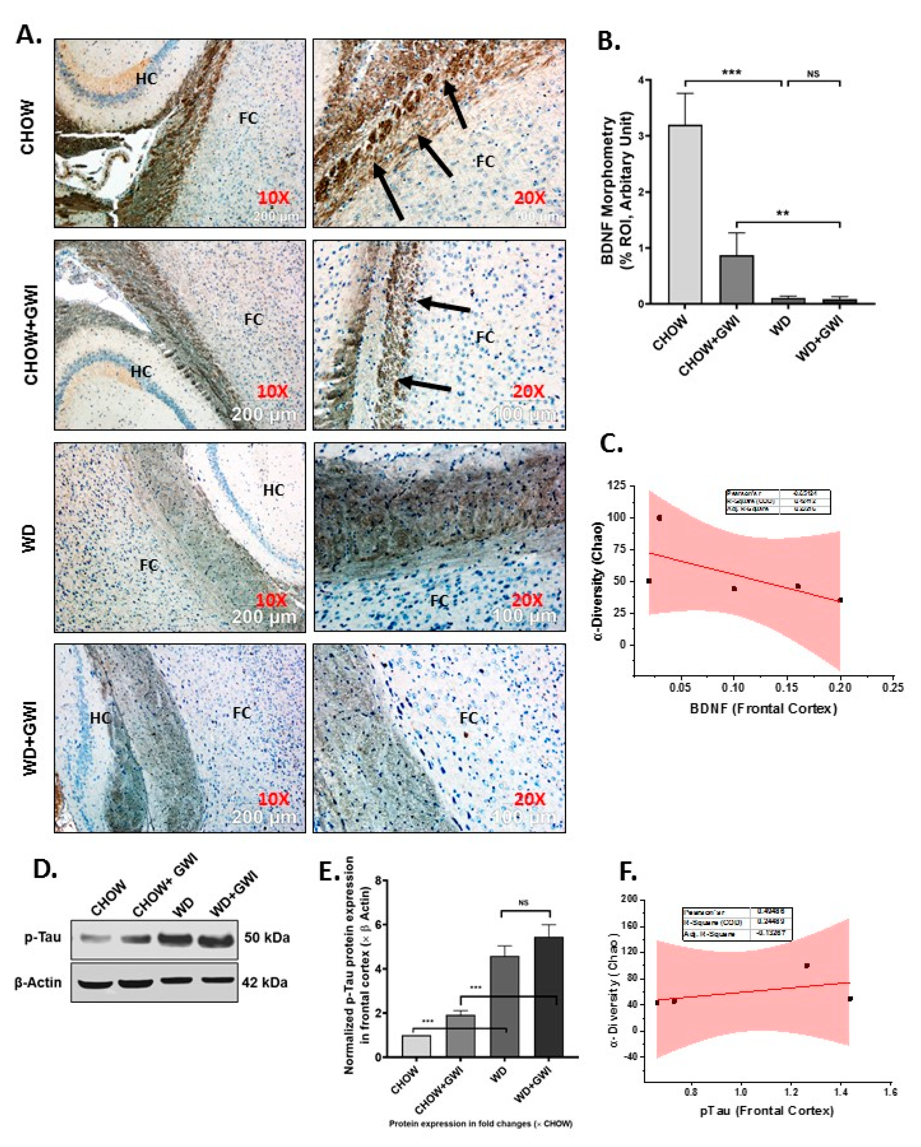 Nutrients 12 02764 g009 Nutrients 12 02764 g009