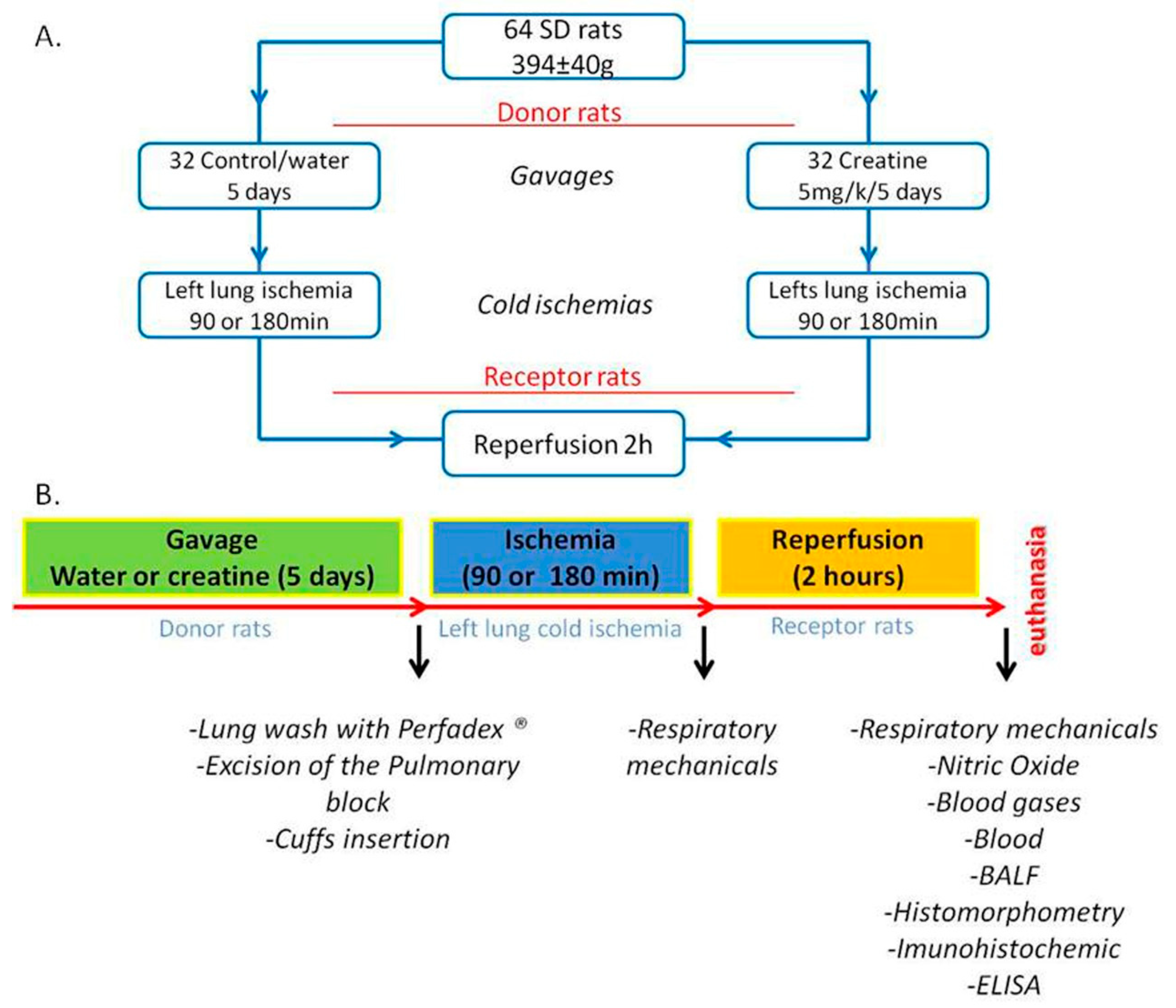 Nutrients 12 02765 g001 Nutrients 12 02765 g001