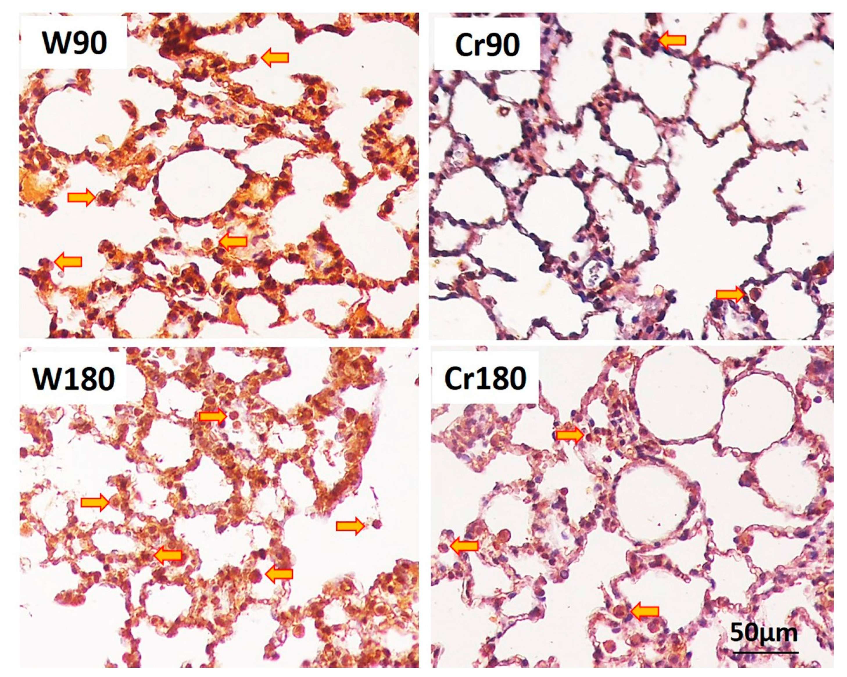 Nutrients 12 02765 g006 Nutrients 12 02765 g006