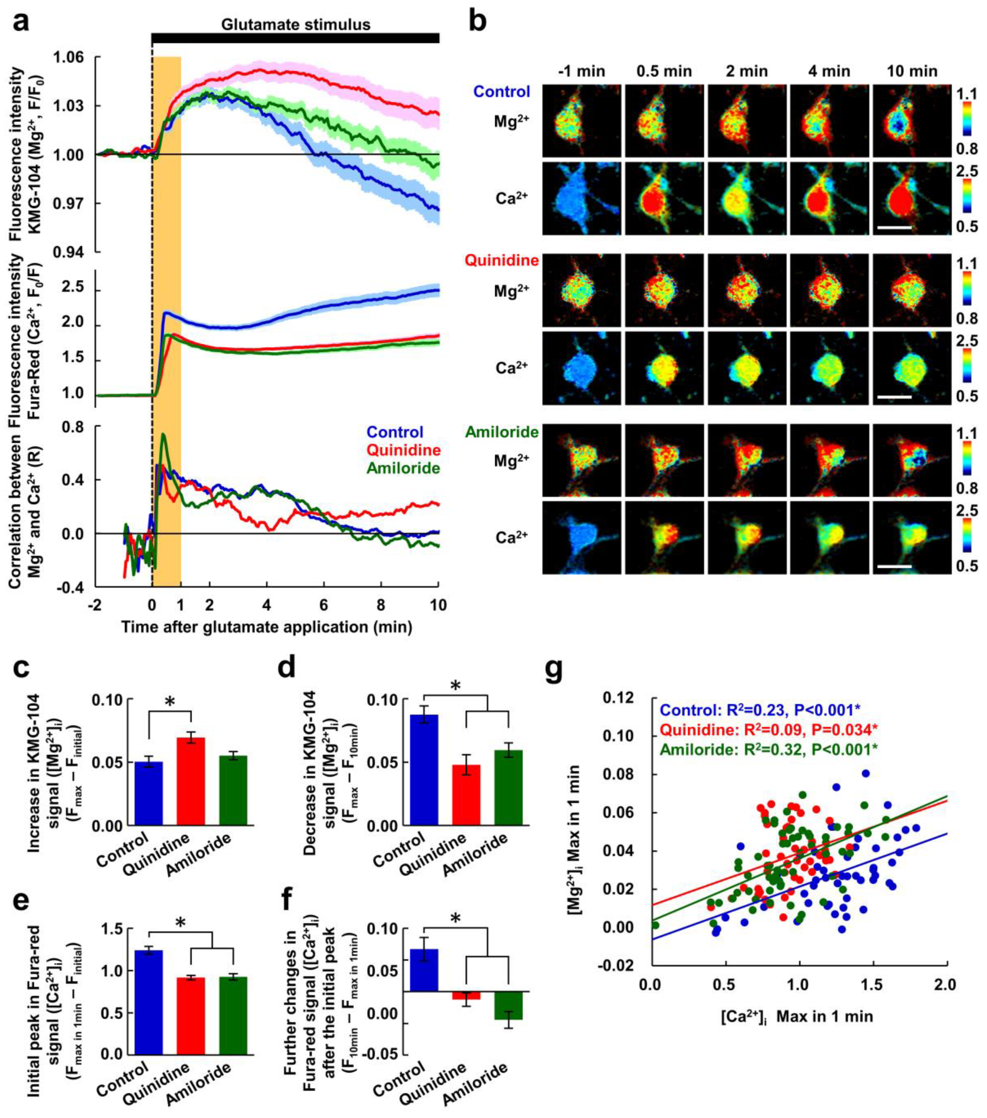 Nutrients 12 02768 g002 Nutrients 12 02768 g002