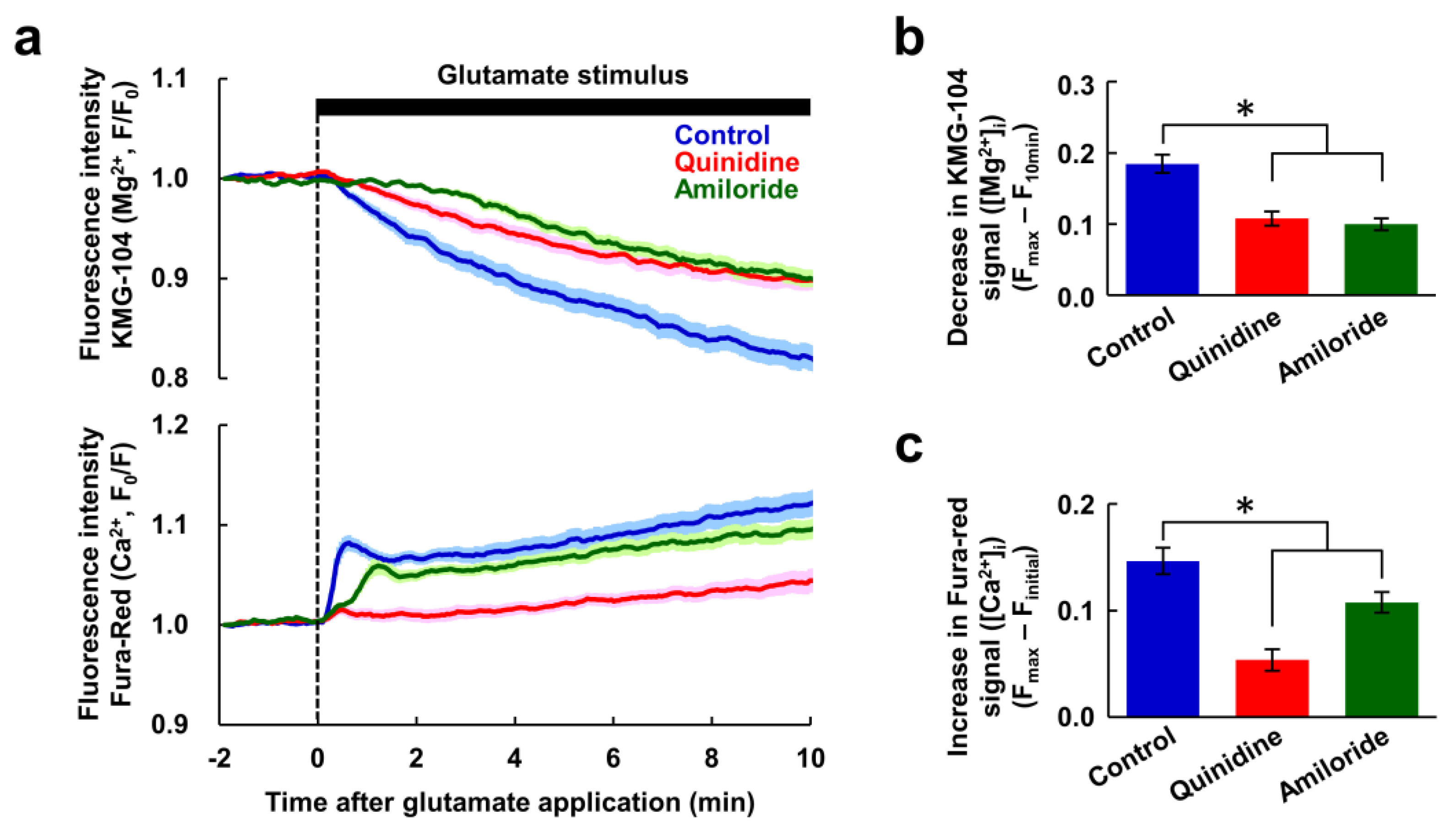 Nutrients 12 02768 g003 Nutrients 12 02768 g003
