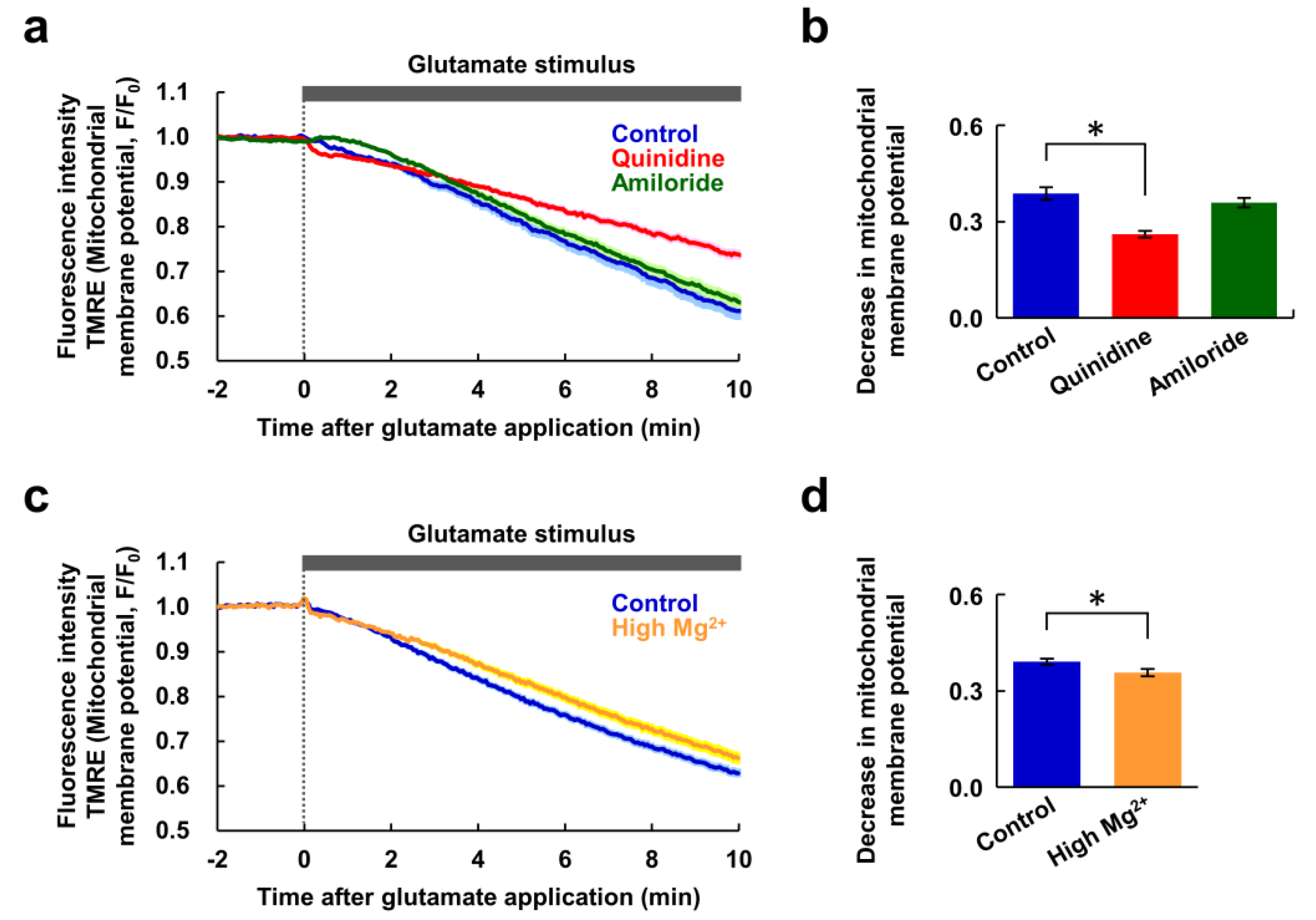 Nutrients 12 02768 g004 Nutrients 12 02768 g004