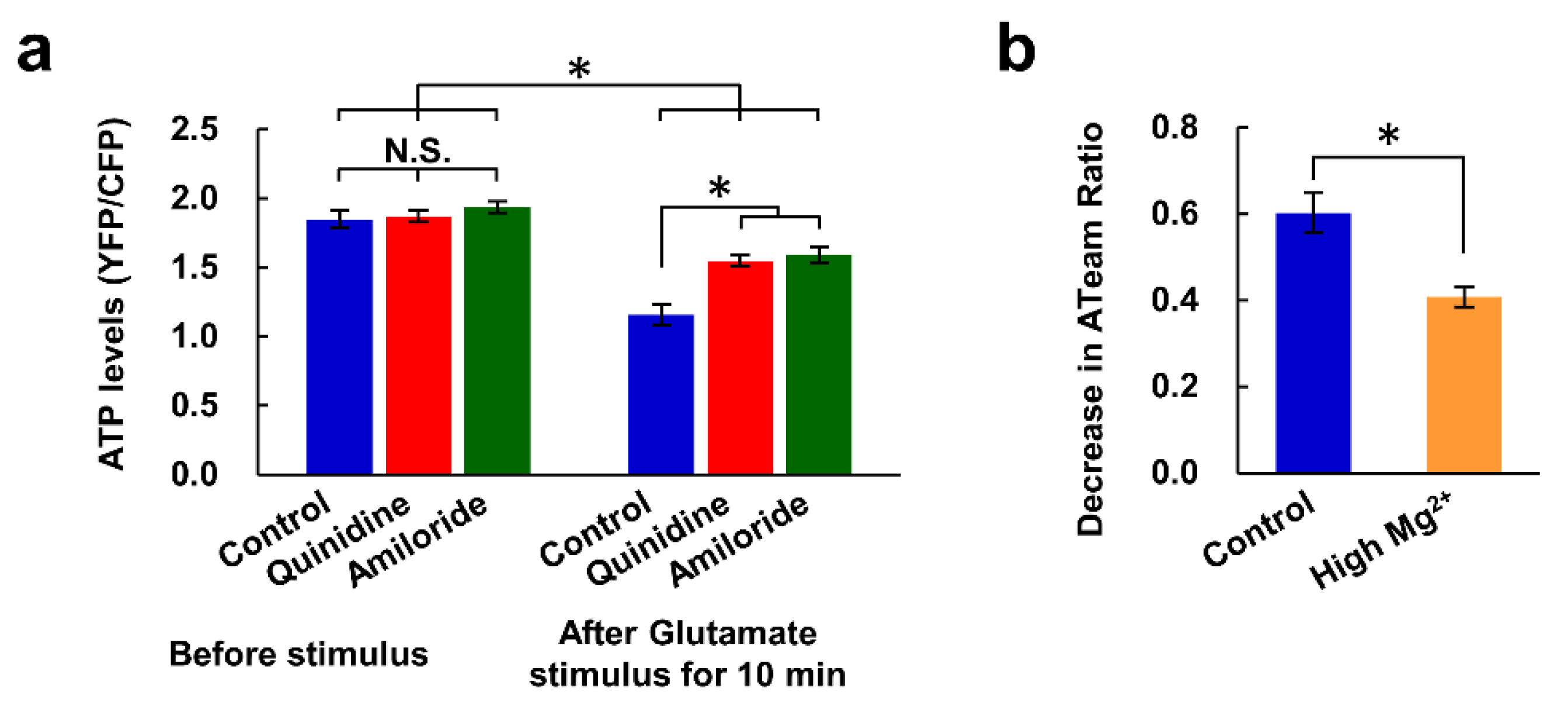 Nutrients 12 02768 g005 Nutrients 12 02768 g005