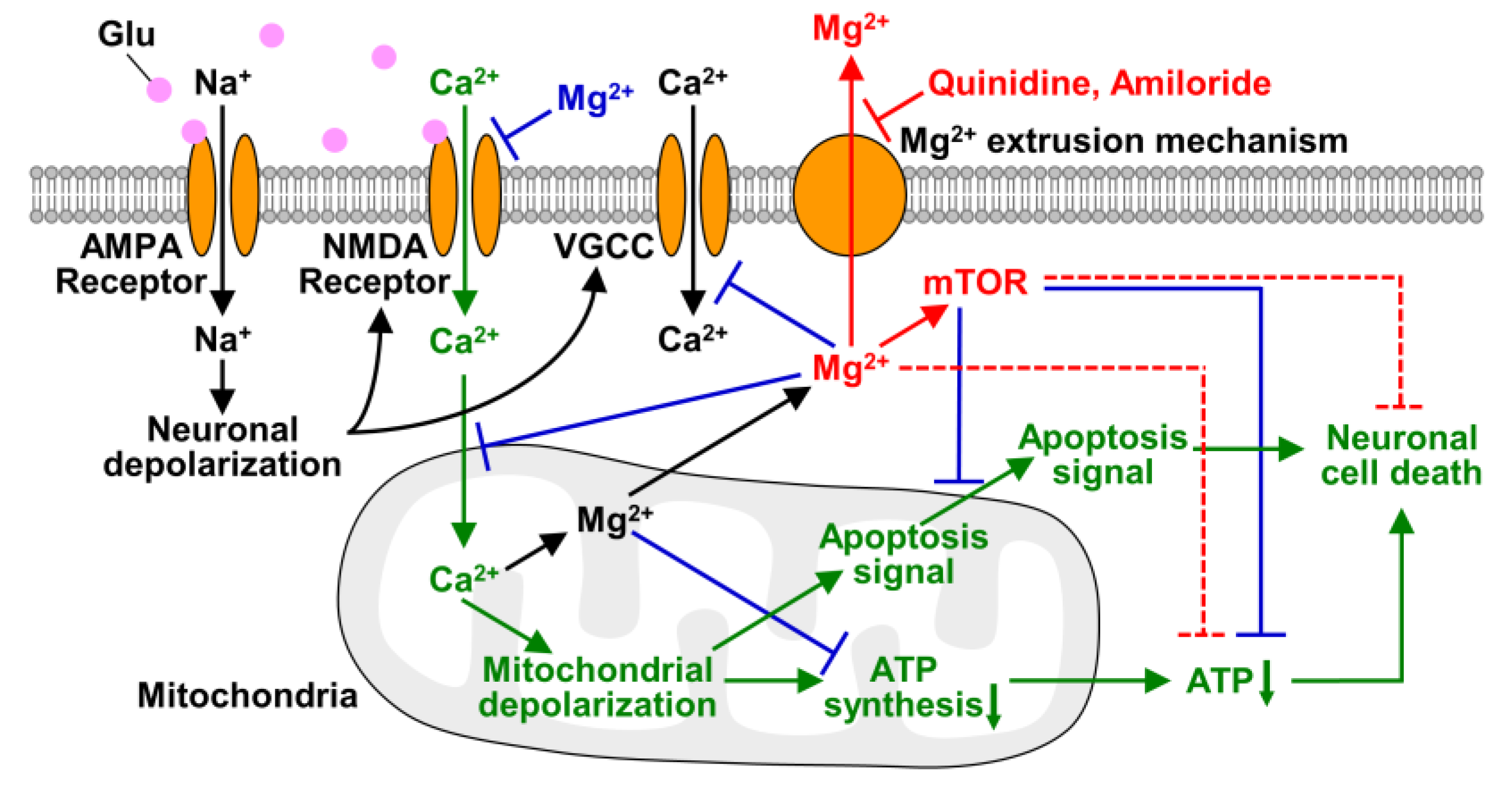 Nutrients 12 02768 g007 Nutrients 12 02768 g007