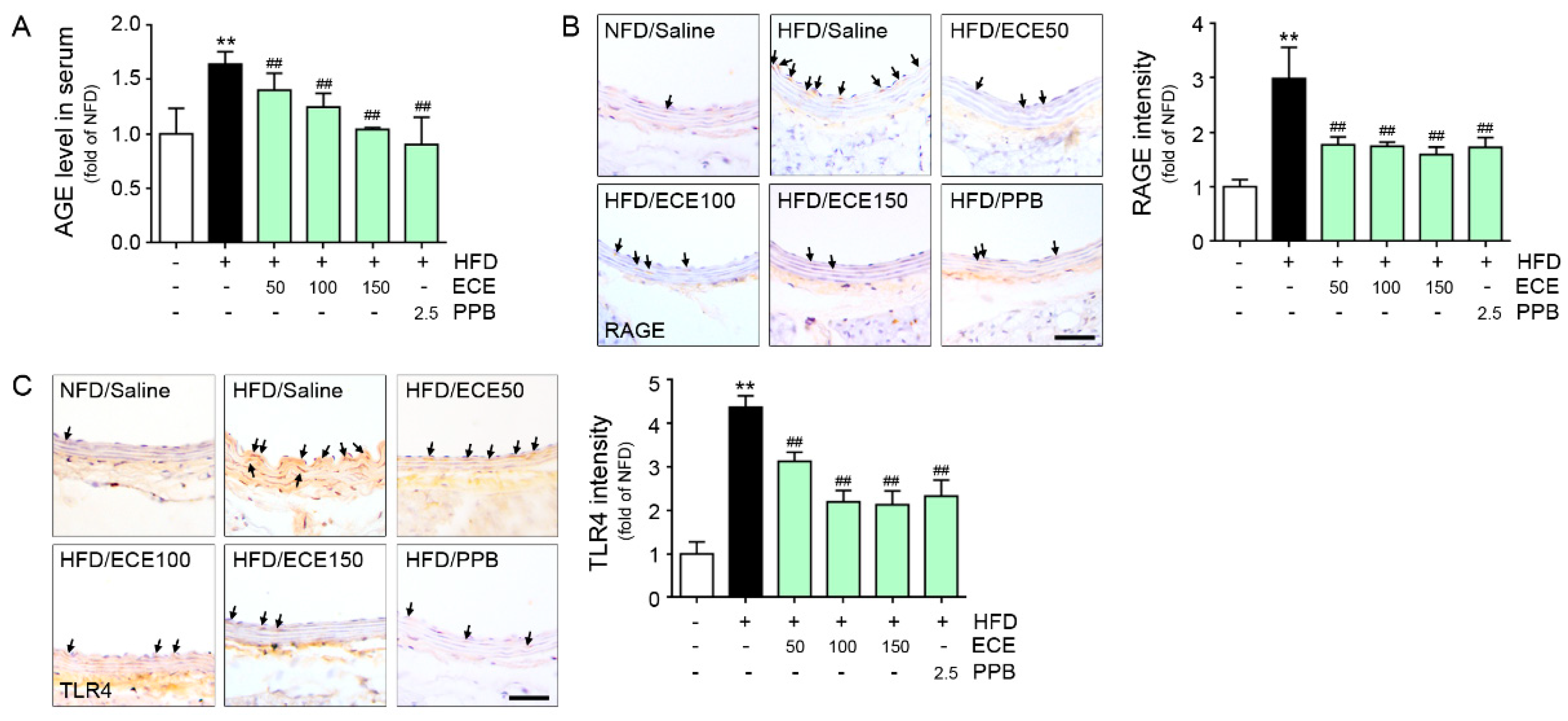 Nutrients 12 02777 g001