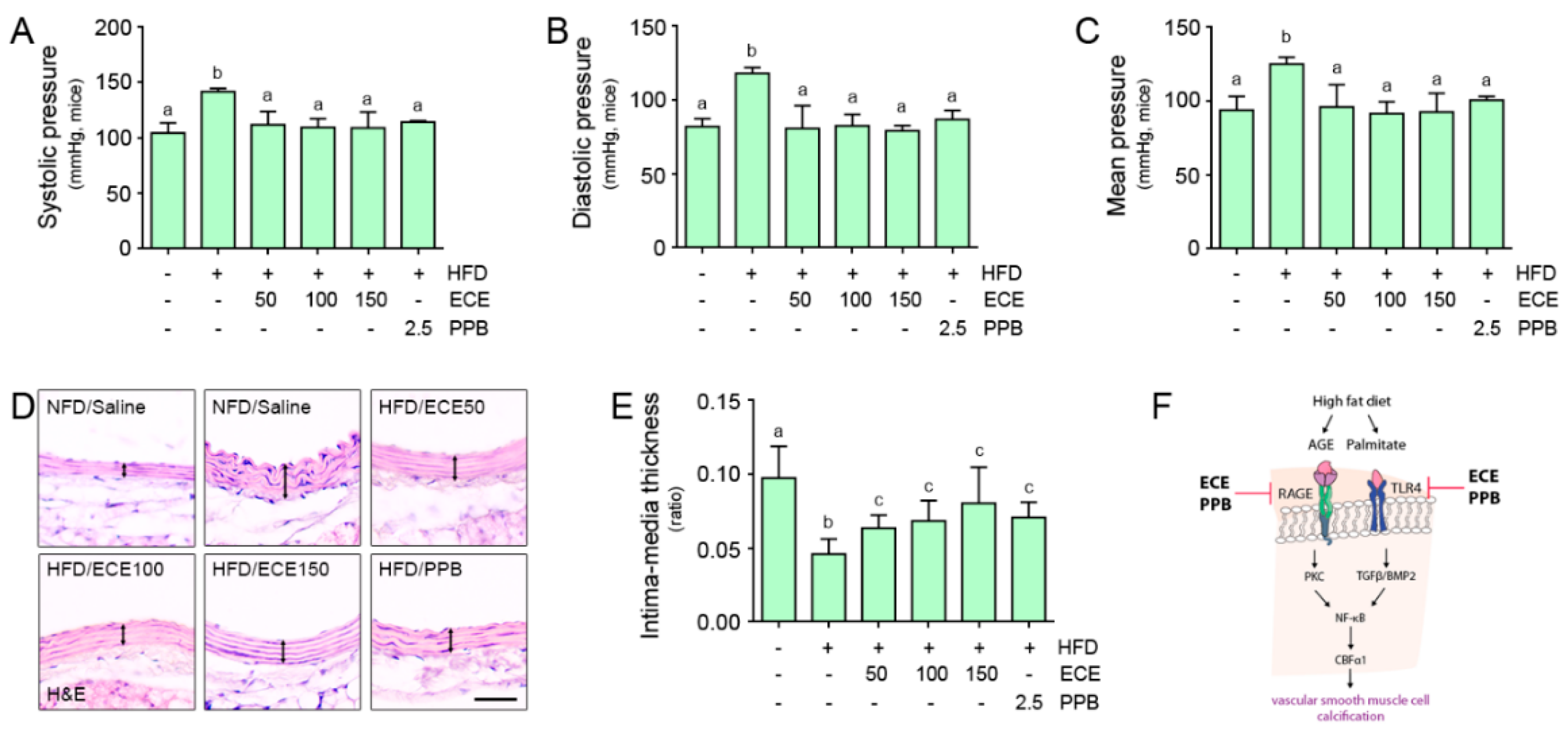 Nutrients Free Full Text Attenuating Effects Of Pyrogallol Phloroglucinol 6 6 Bieckol On Vascular Smooth Muscle Cell Phenotype Changes To Osteoblastic Cells And Vascular Calcification Induced By High Fat Diet Html Nutrients Free Full Text Attenuating Effects Of Pyrogallol Phloroglucinol 6 6 Bieckol On Vascular Smooth Muscle Cell Phenotype Changes To Osteoblastic Cells And Vascular Calcification Induced By High Fat Diet Html