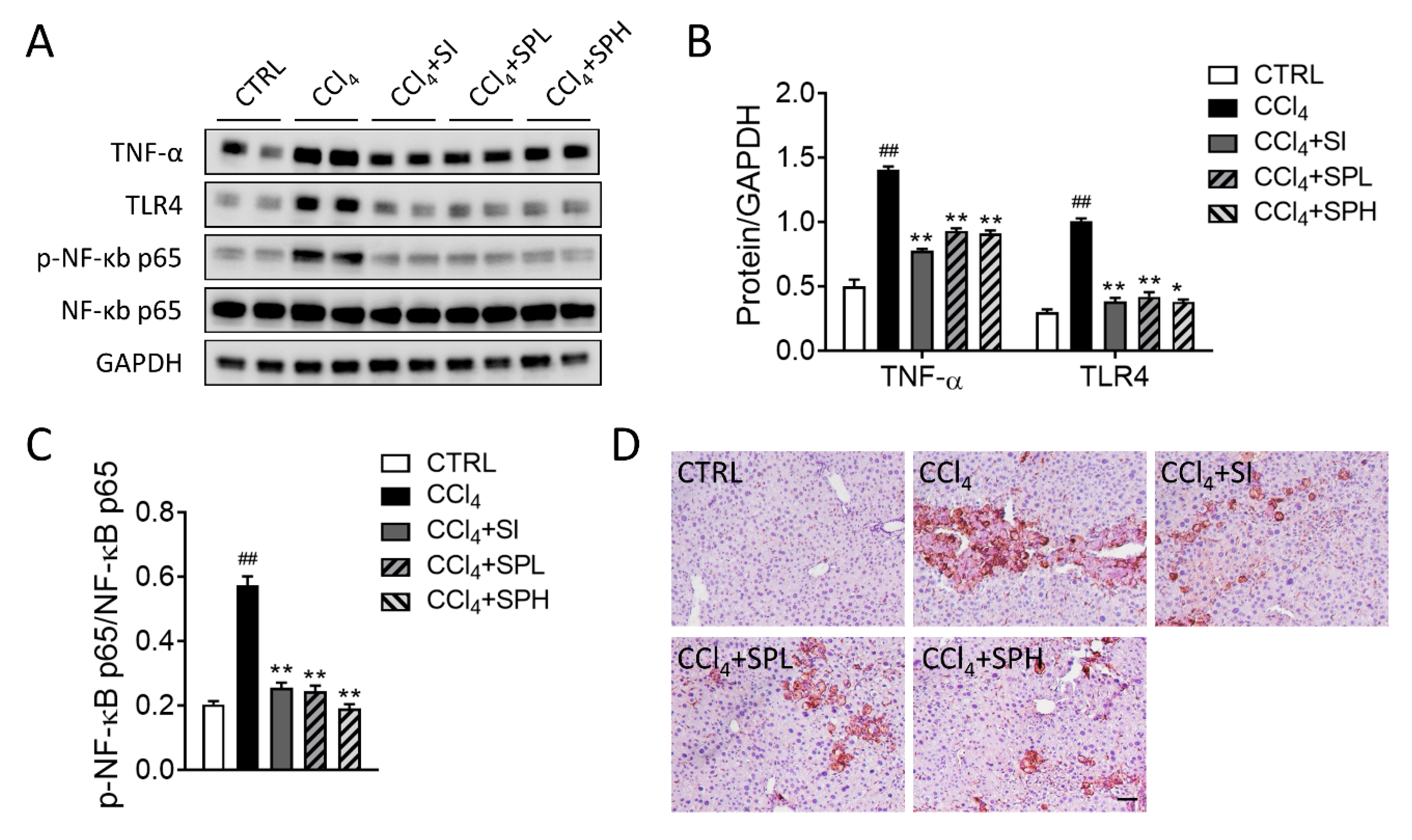 Nutrients 12 02778 g006 Nutrients 12 02778 g006