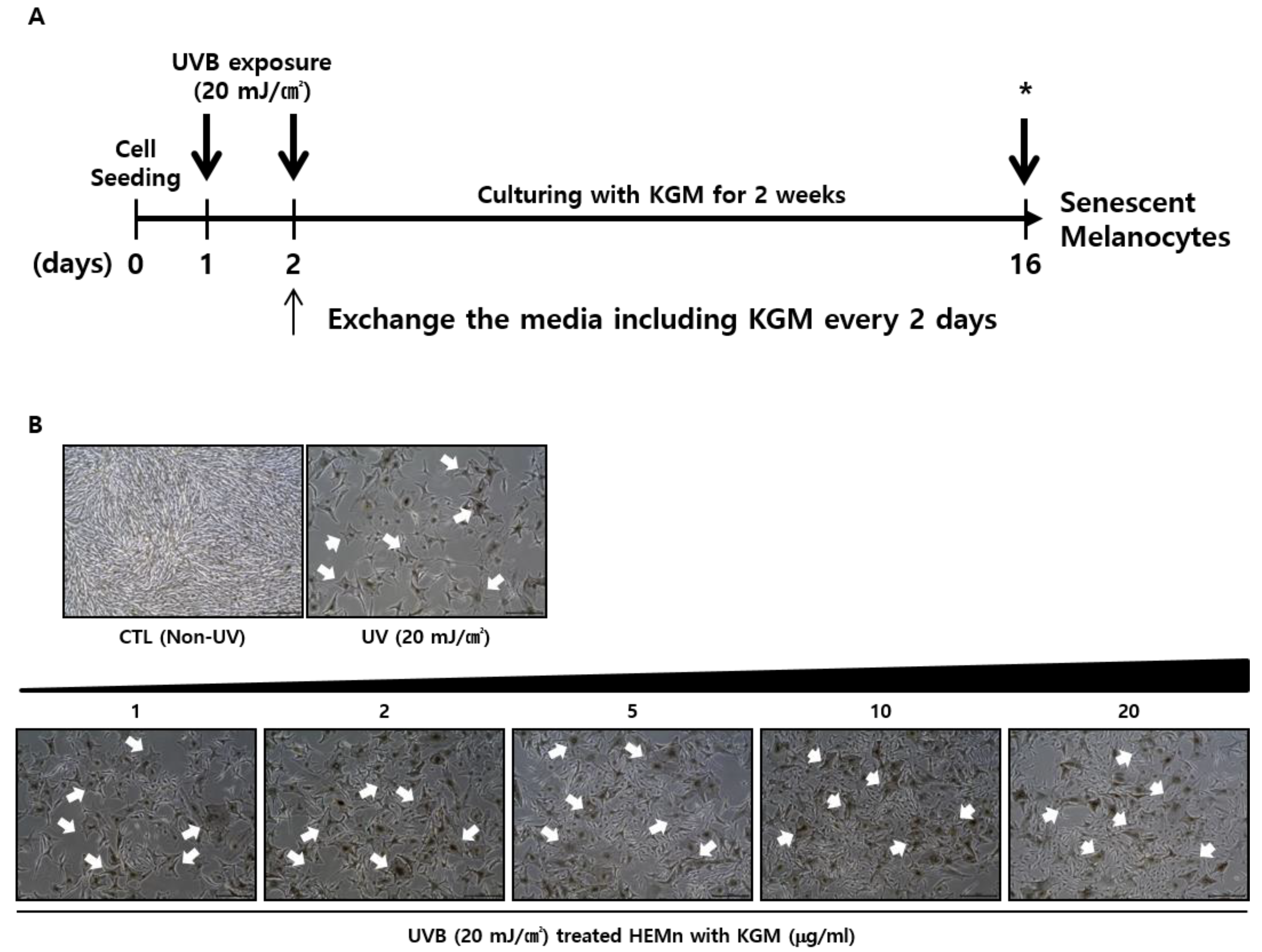 Nutrients 12 02779 g002