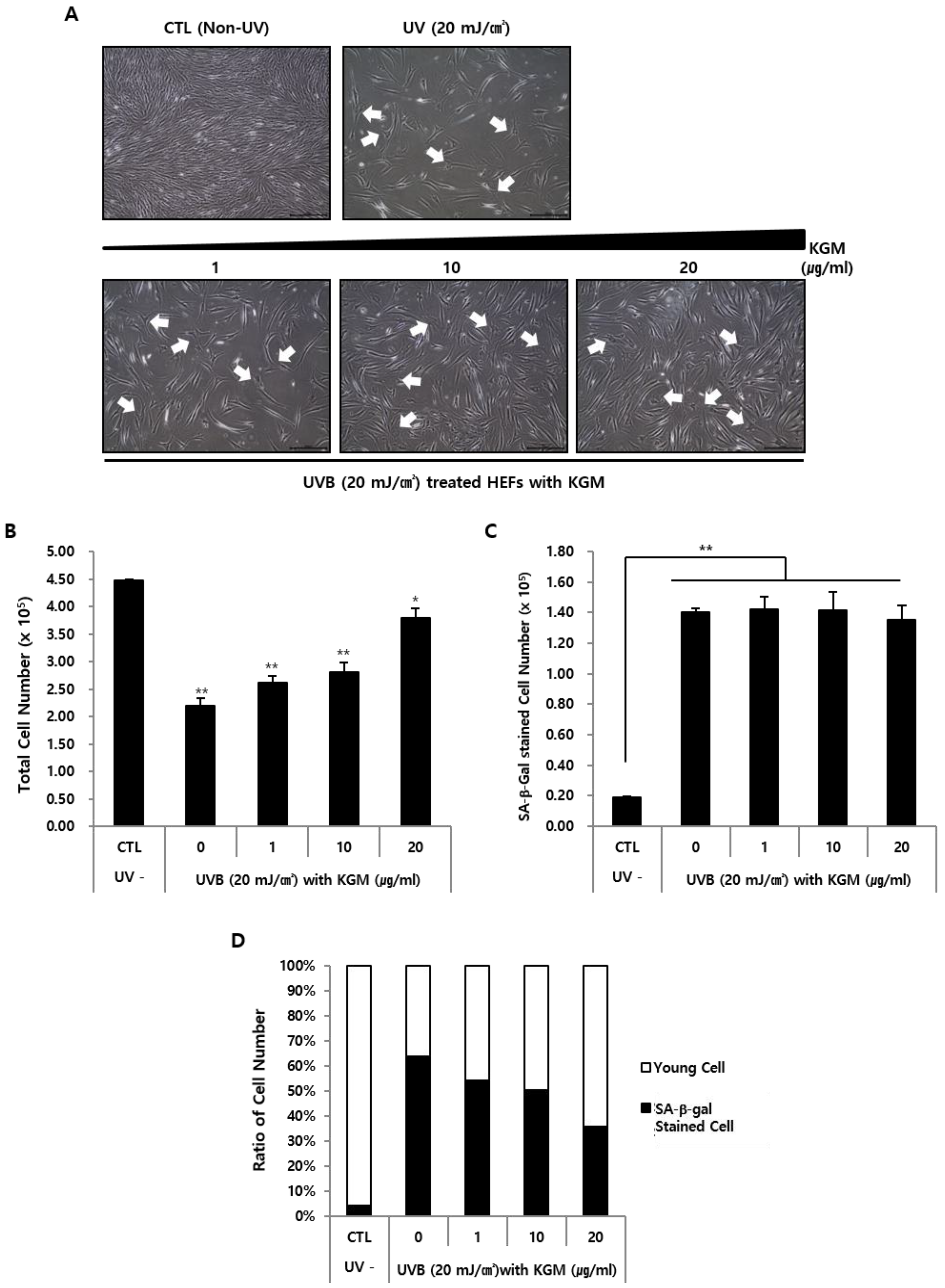 Nutrients 12 02779 g005