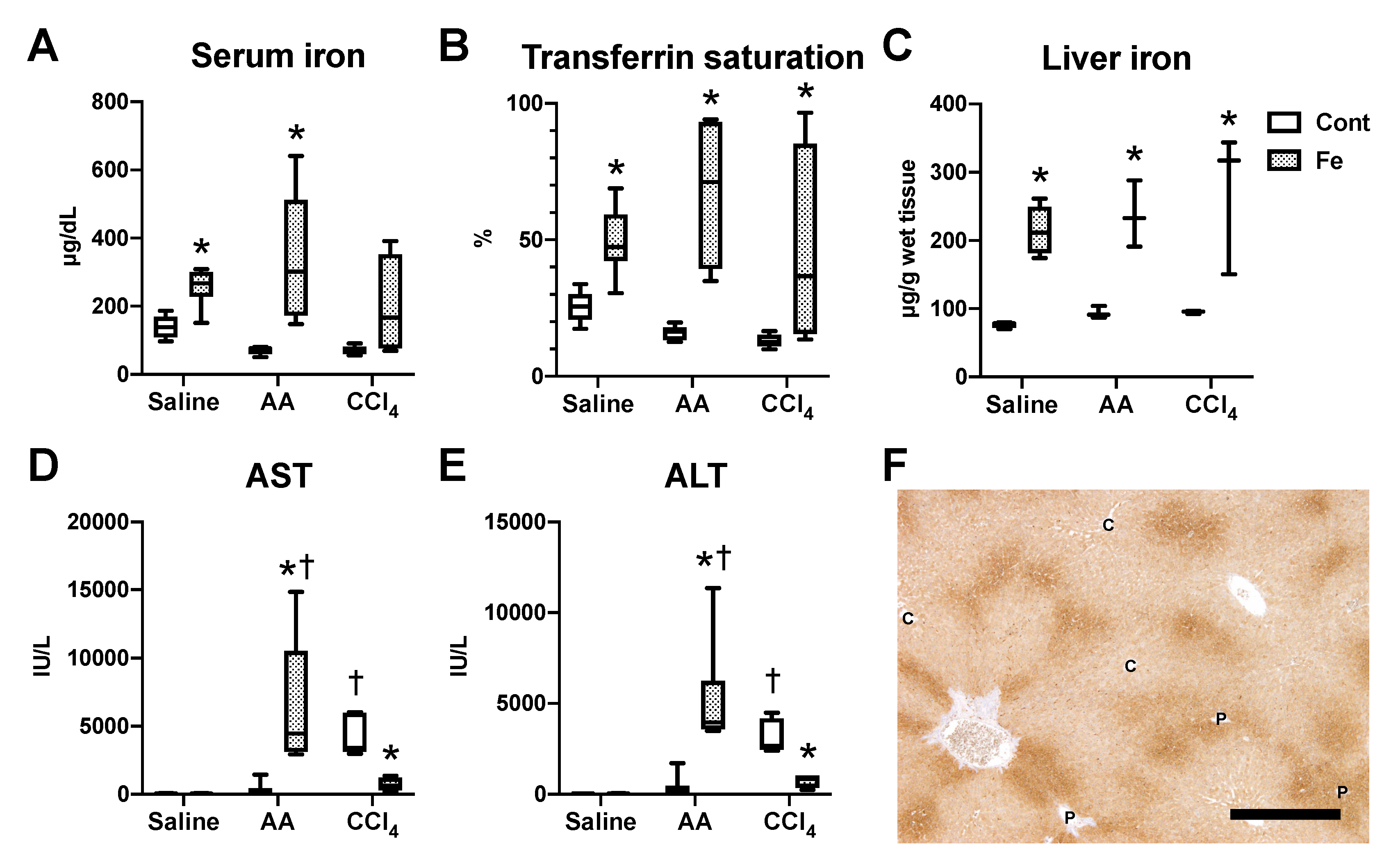 Nutrients 12 02784 g002 Nutrients 12 02784 g002