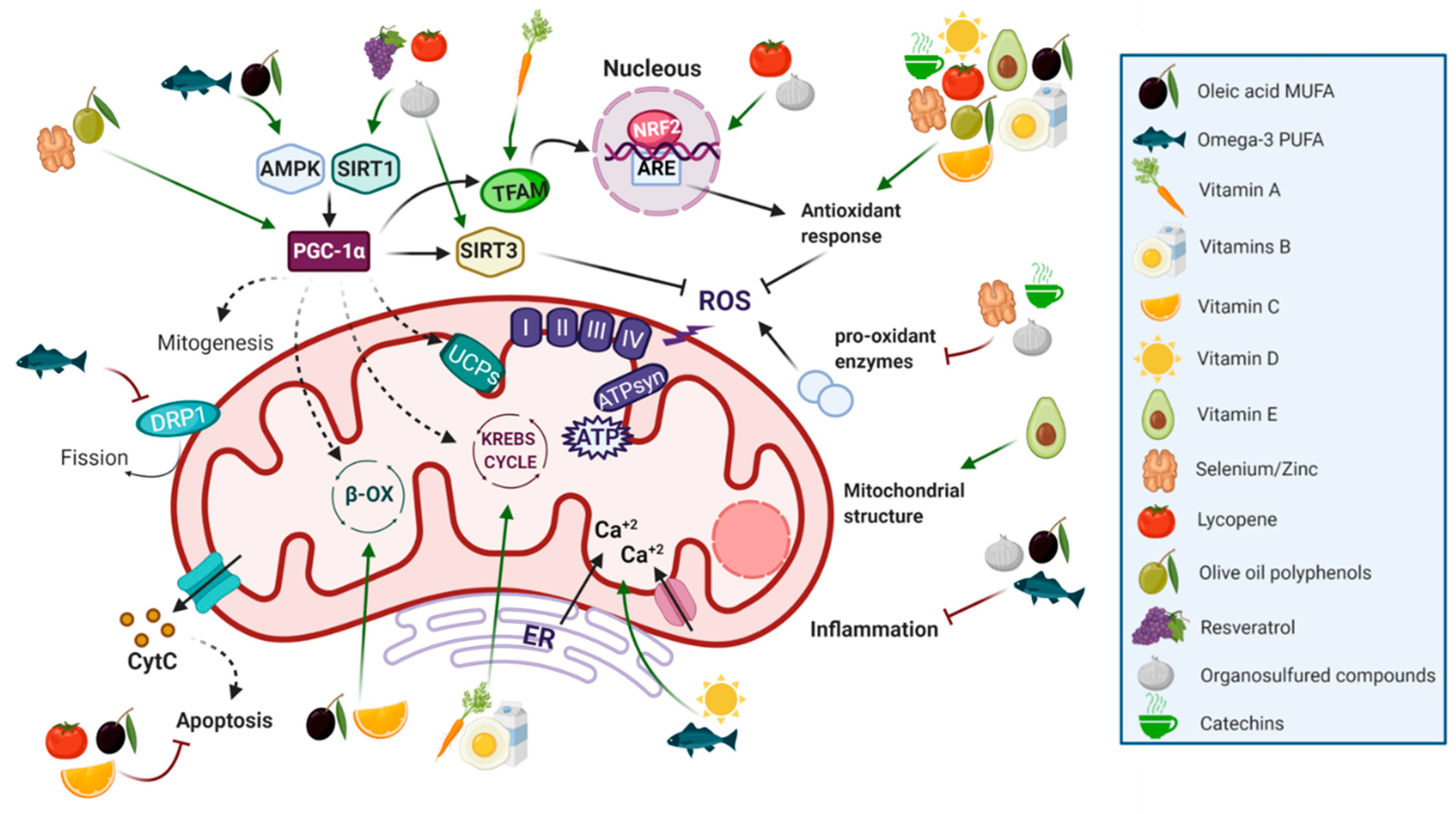 Nutrients 12 02785 g003