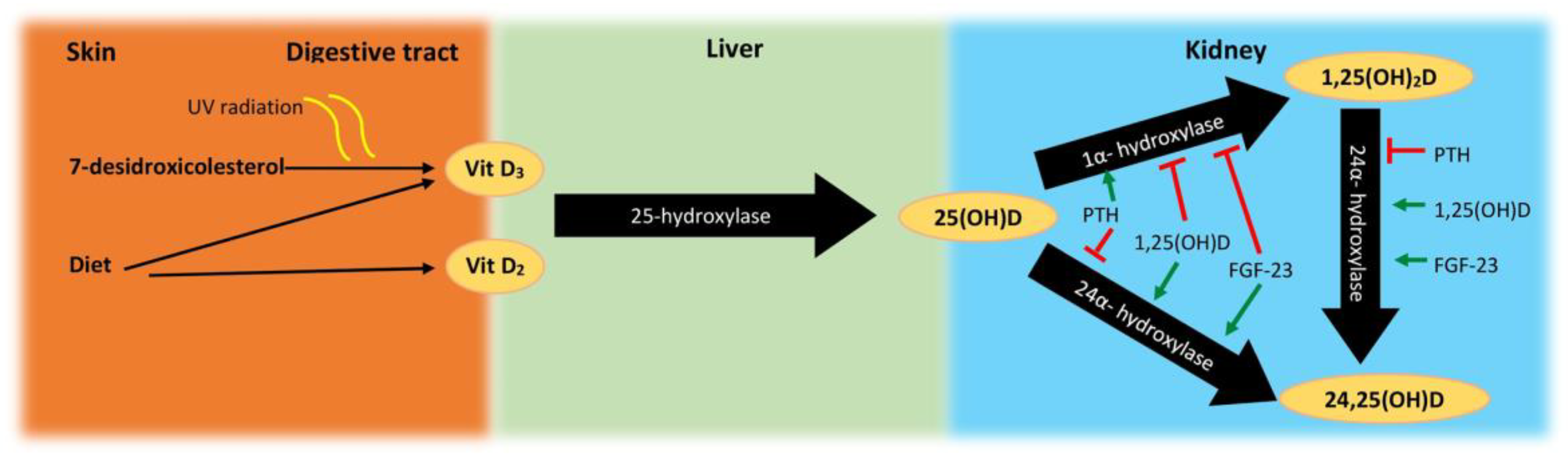 Nutrients 12 02791 g002