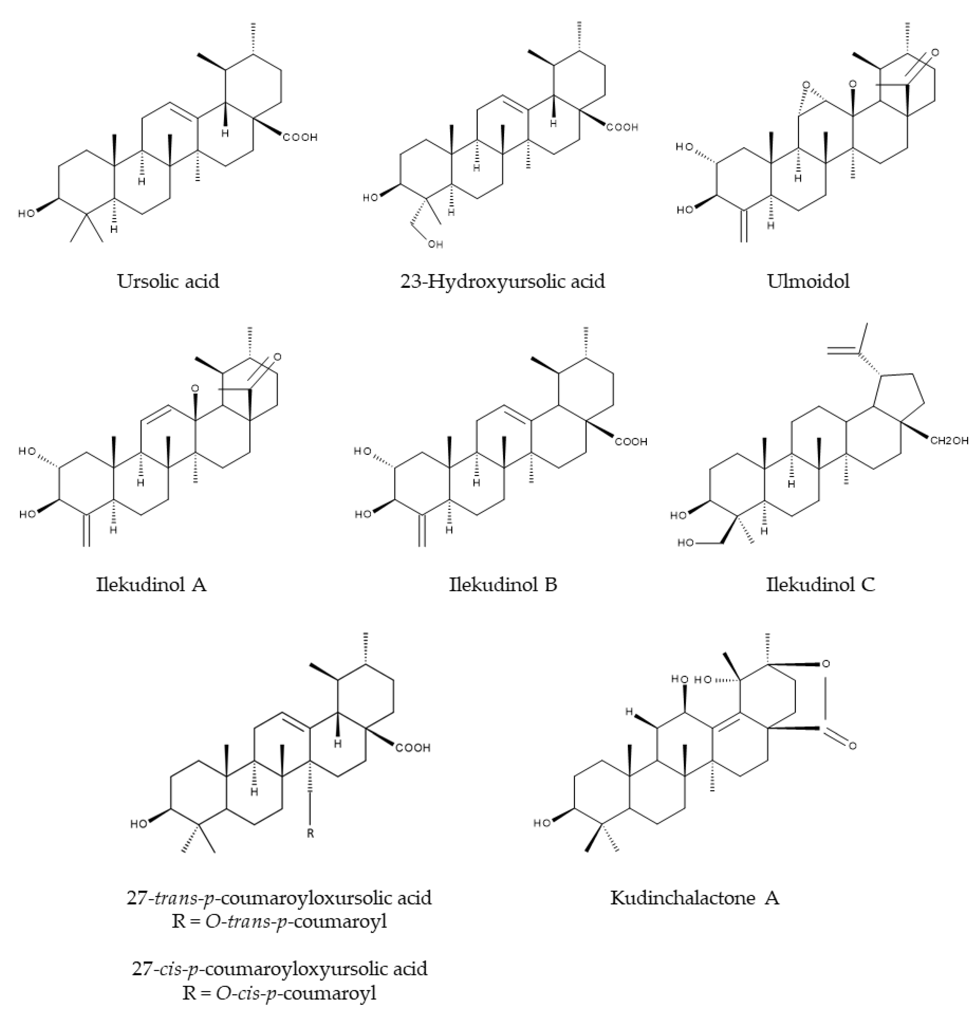 Nutrients 12 02796 g004 Nutrients 12 02796 g004