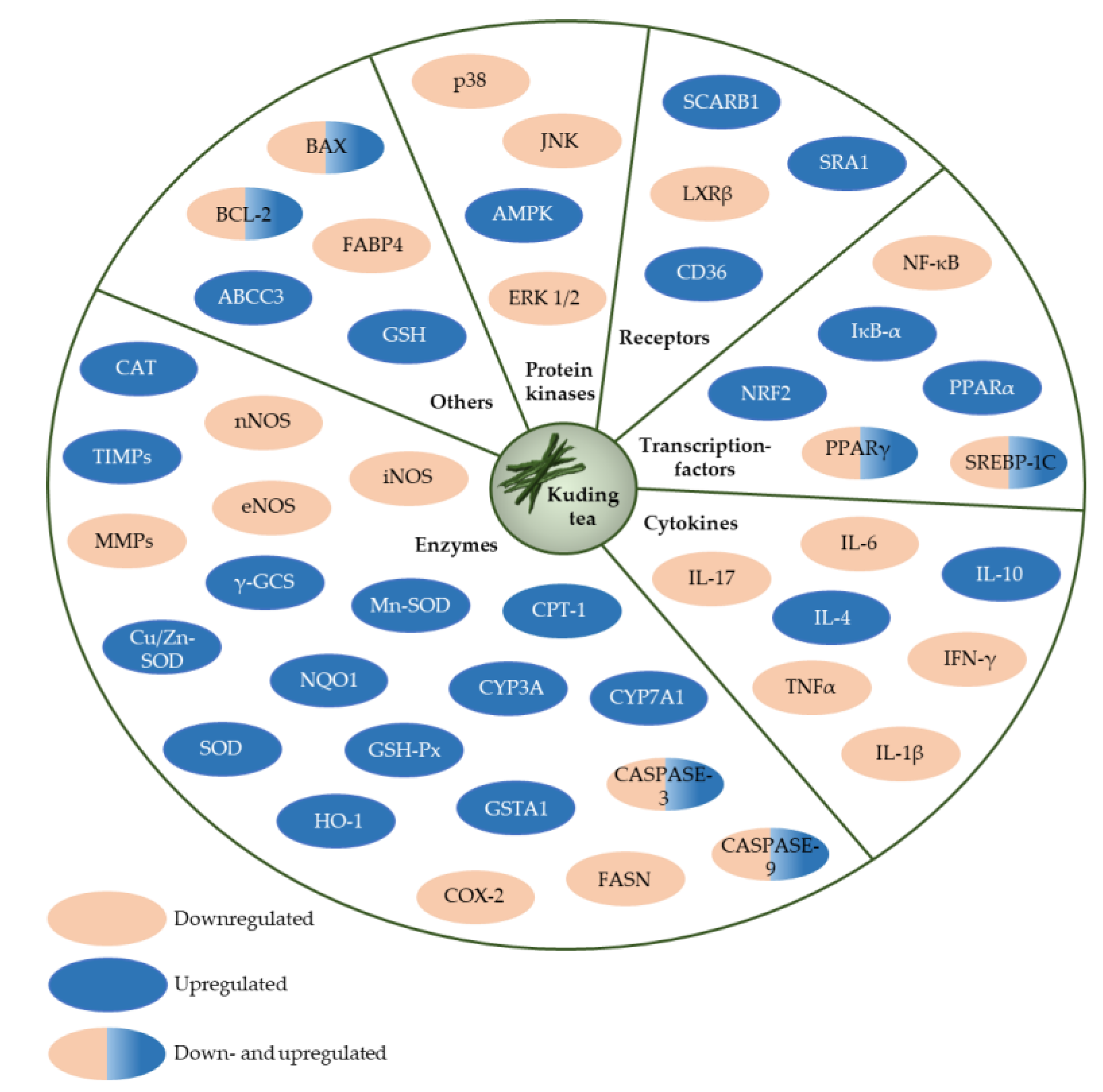 Nutrients 12 02796 g008 Nutrients 12 02796 g008