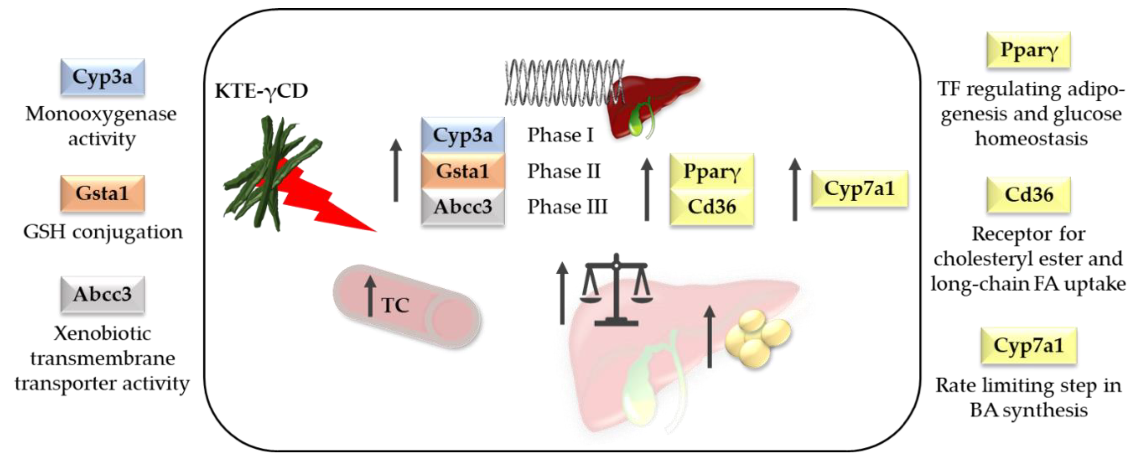 Nutrients 12 02796 g009 Nutrients 12 02796 g009