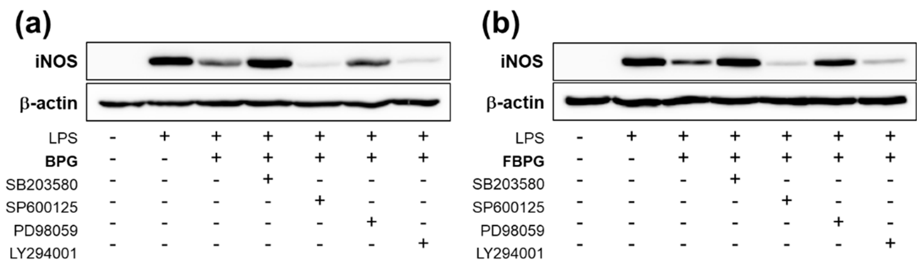 Nutrients 12 02802 g004 Nutrients 12 02802 g004