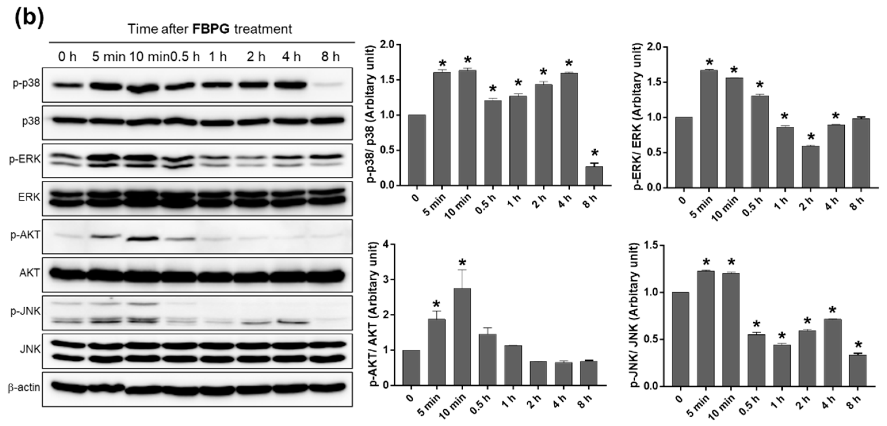 Nutrients 12 02802 g005b Nutrients 12 02802 g005b