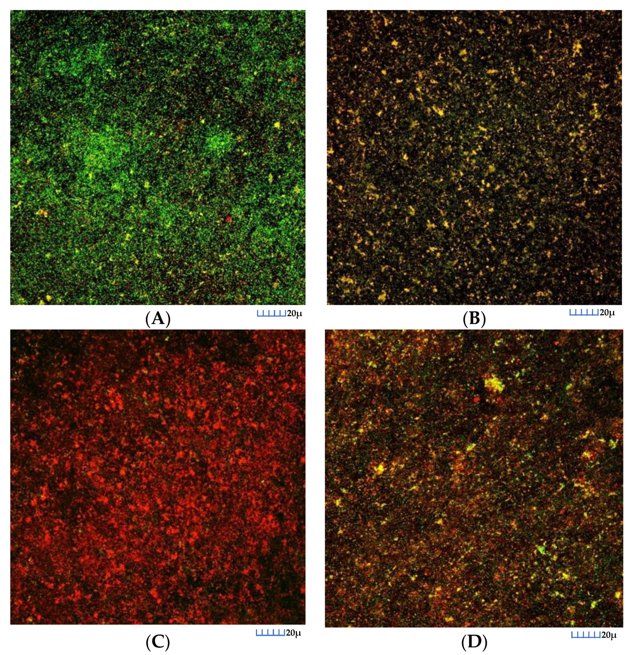 Nutrients 12 02812 g001 Nutrients 12 02812 g001