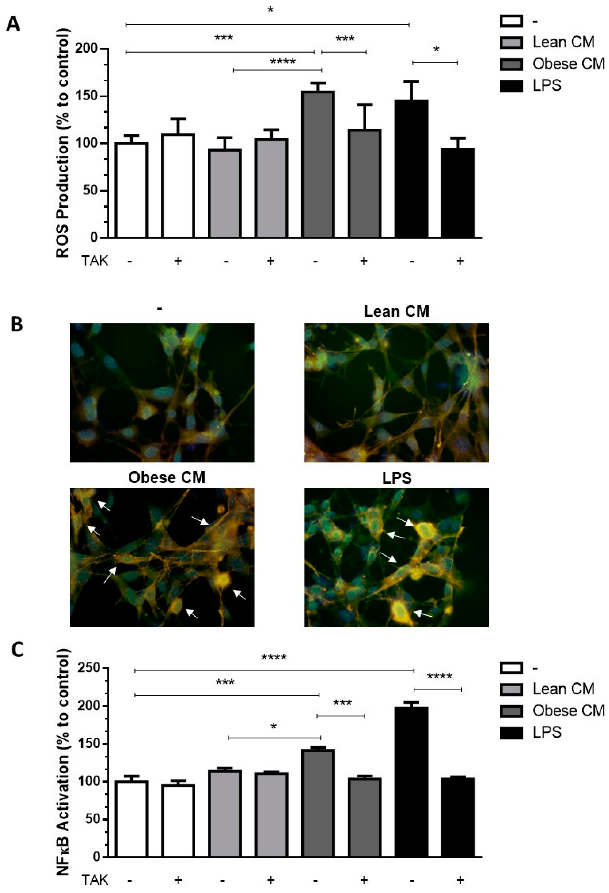 Nutrients 12 02828 g002