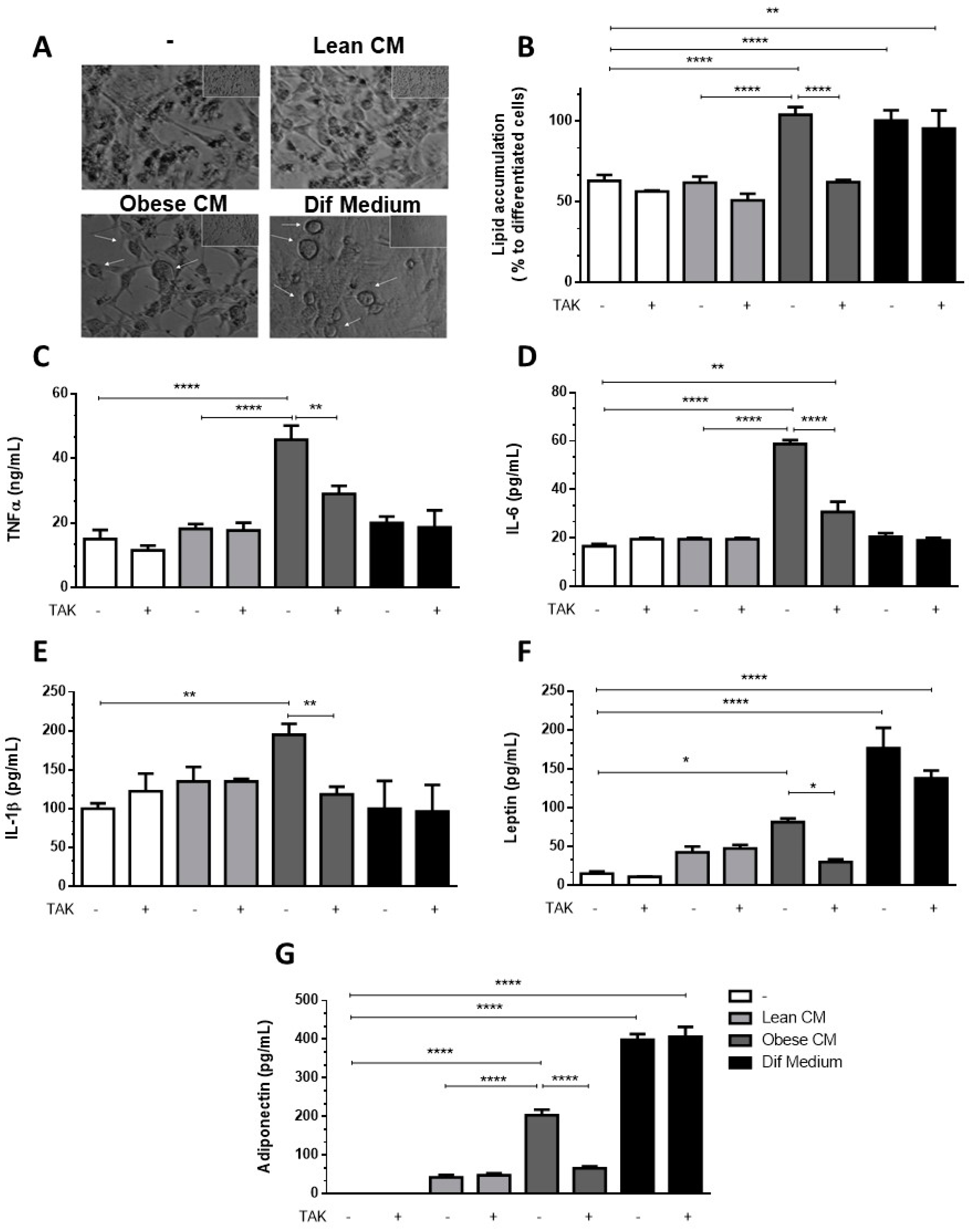 Nutrients 12 02828 g005