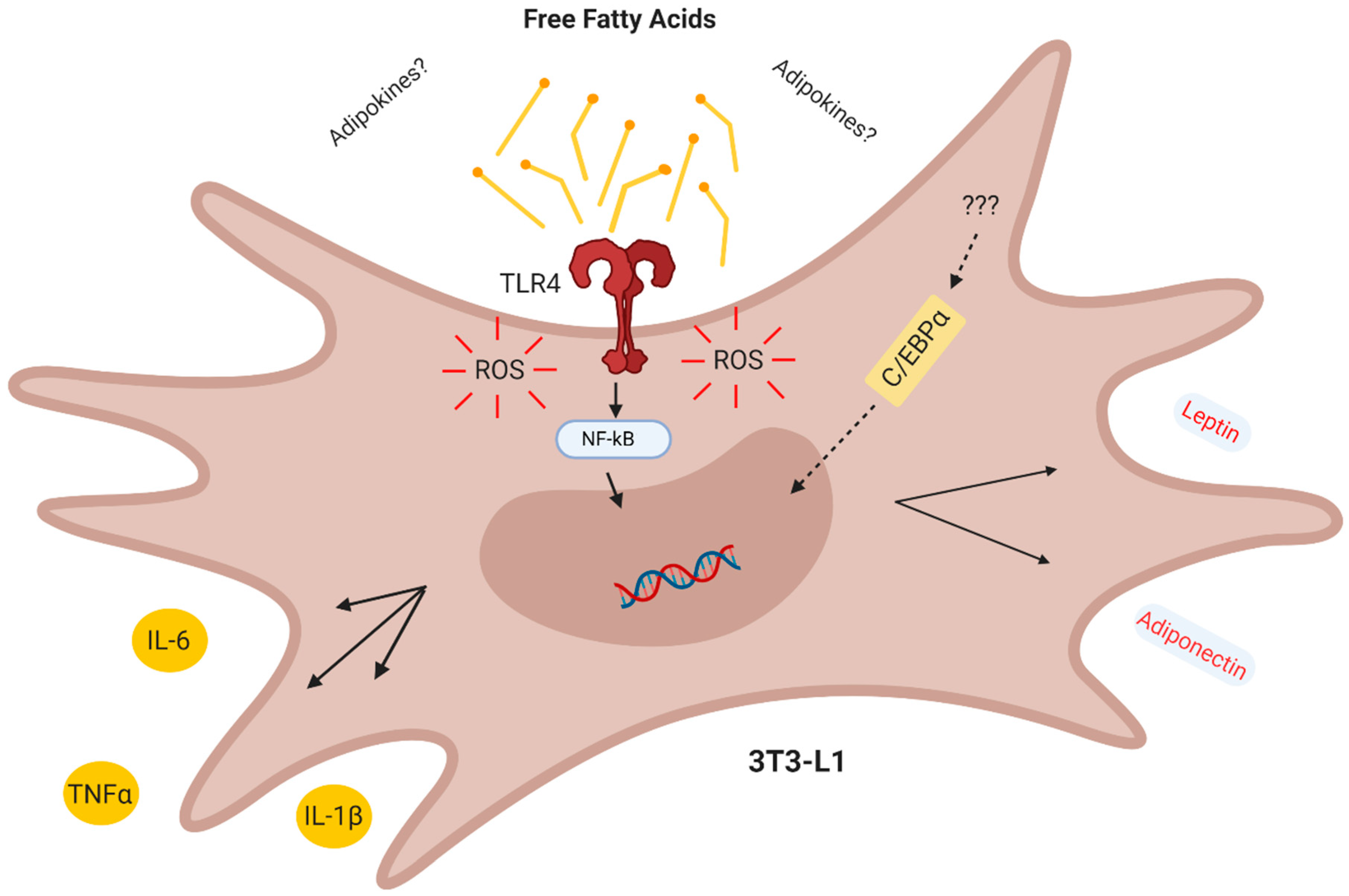 Nutrients 12 02828 g006