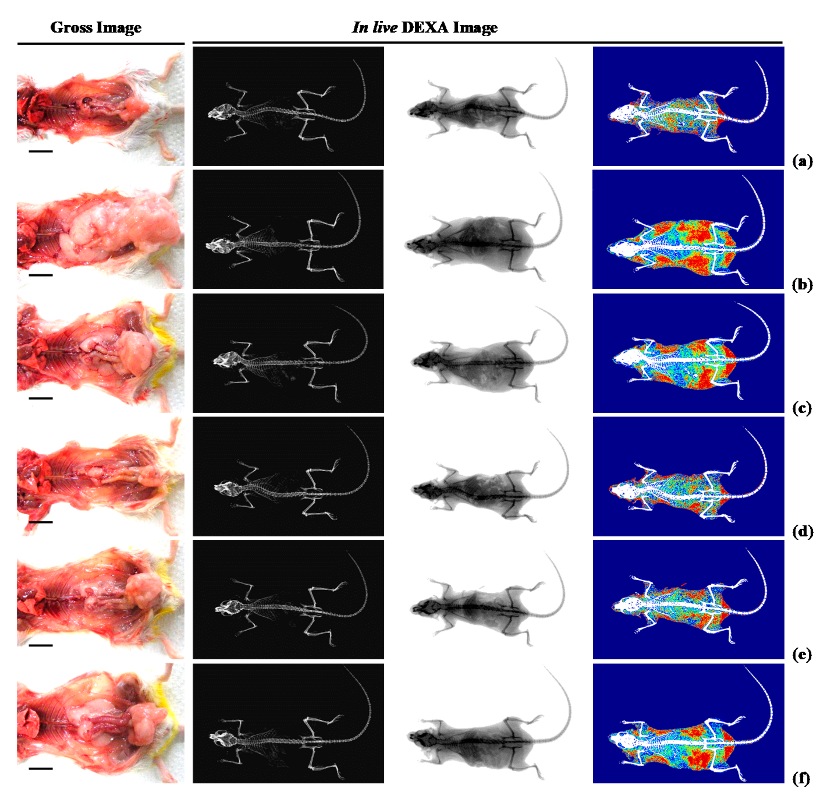 Nutrients 12 02837 g002