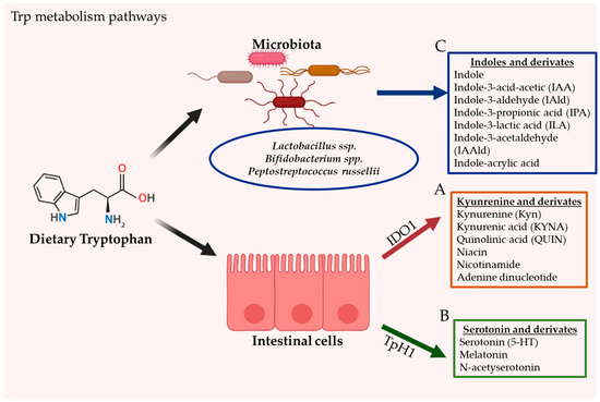 Nutrients 12 02846 g001 550